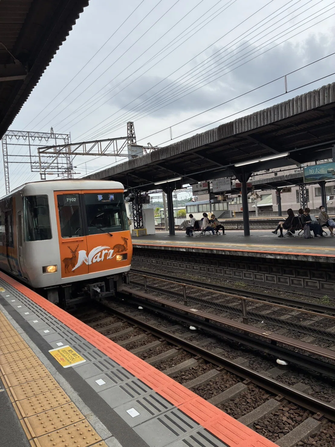 旅日記】ネモフィラと風車で花博を振り返る｜大純はる（おおいとはる）