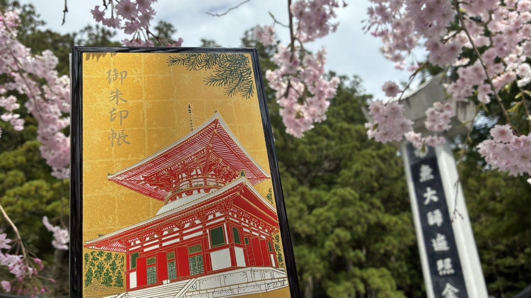 桜が満開の高野山🌸今日は大黒天さまの縁日で次回は6/19に限定御朱印が