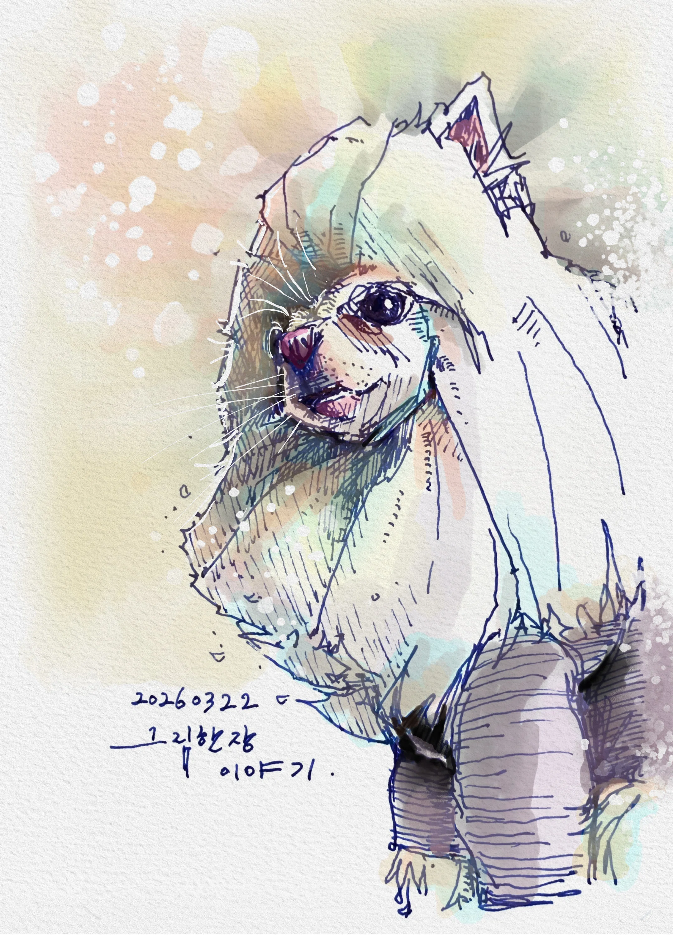 上手な絵は、描き直した絵だ。｜drawlife