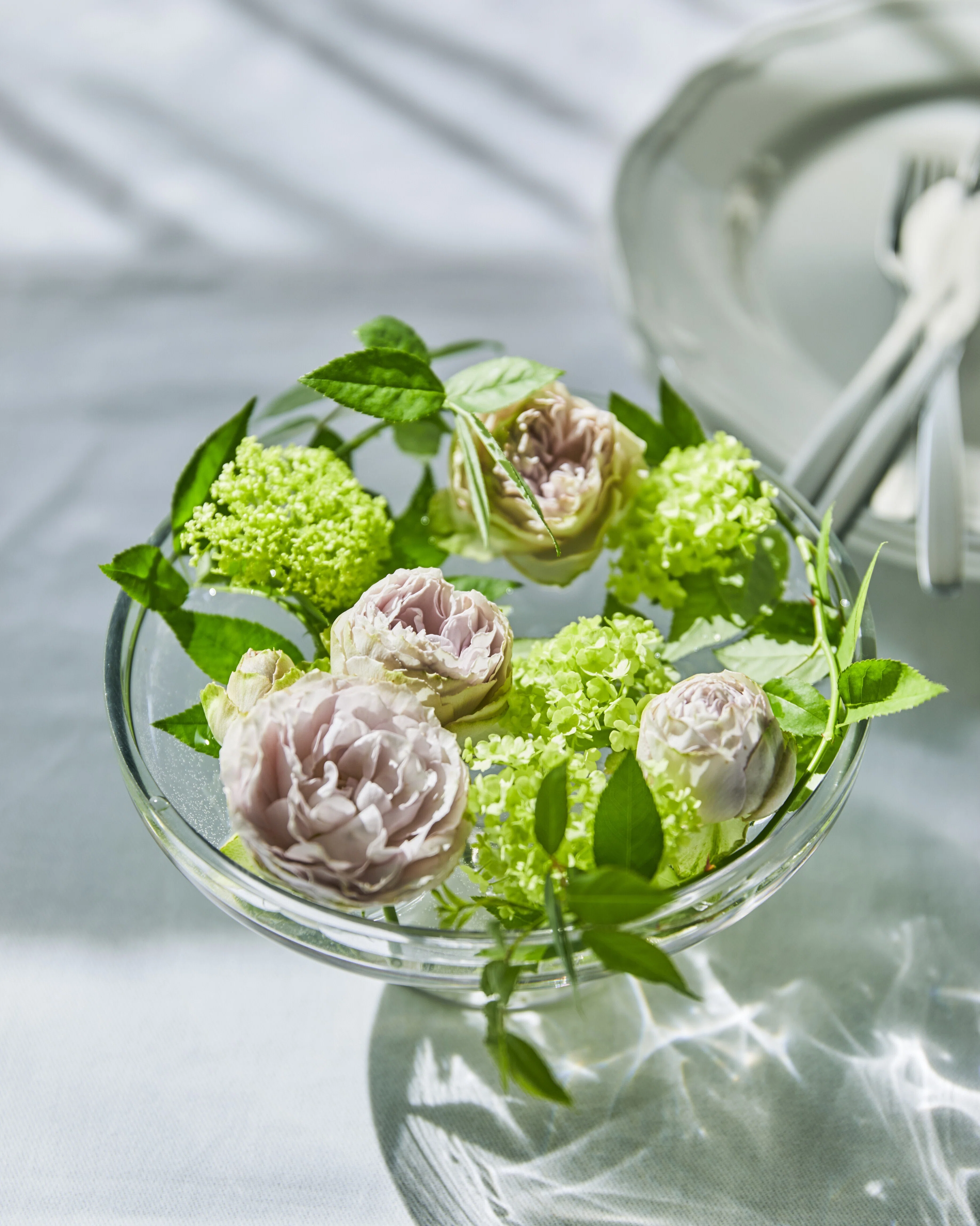 旬の花を美しく飾るには？｜バラの魅力とスタイリング5選｜FLOWER
