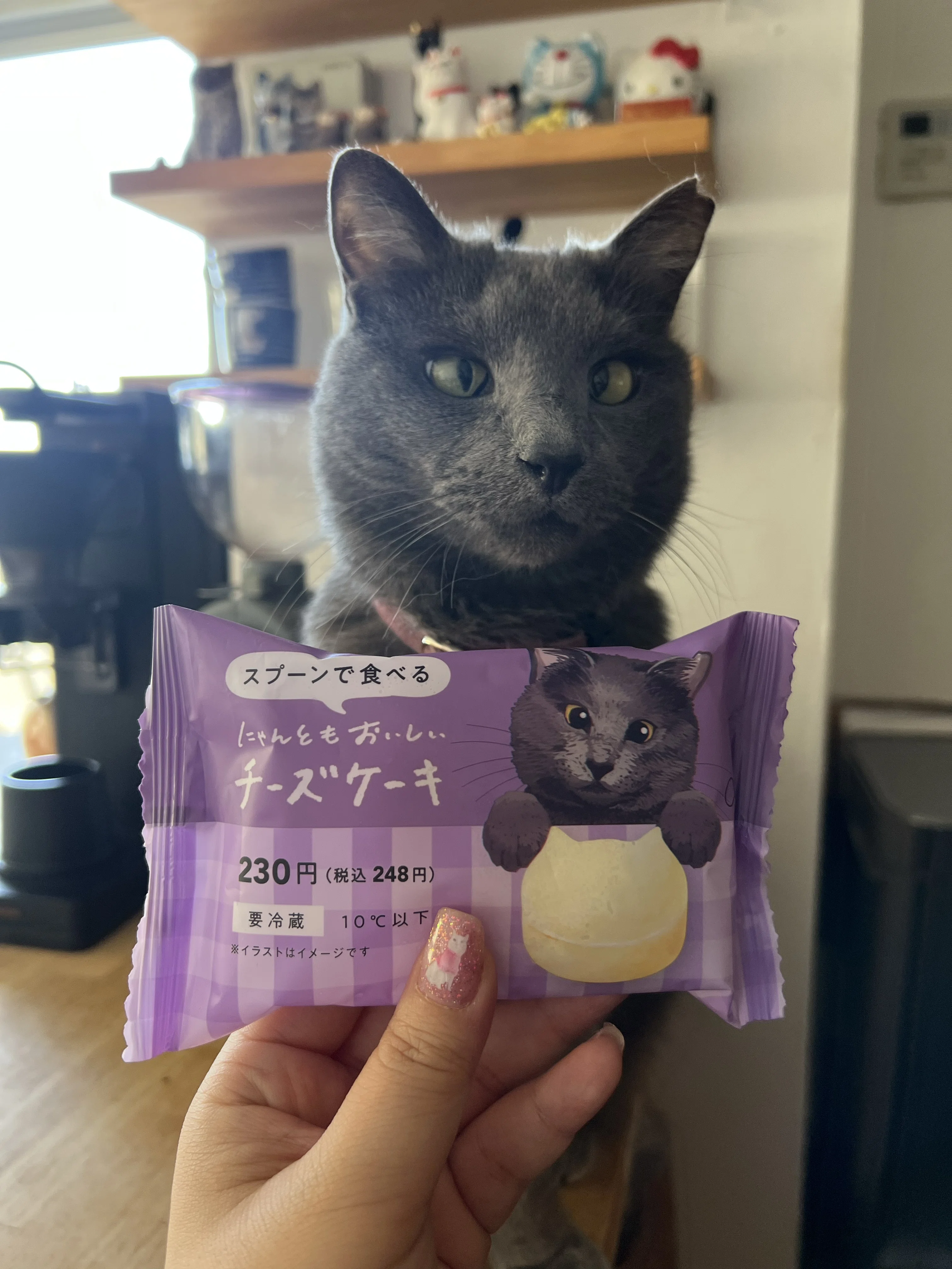 猫と色と、記憶の話──イラストレーター、Coonyさんの配色&仕事術