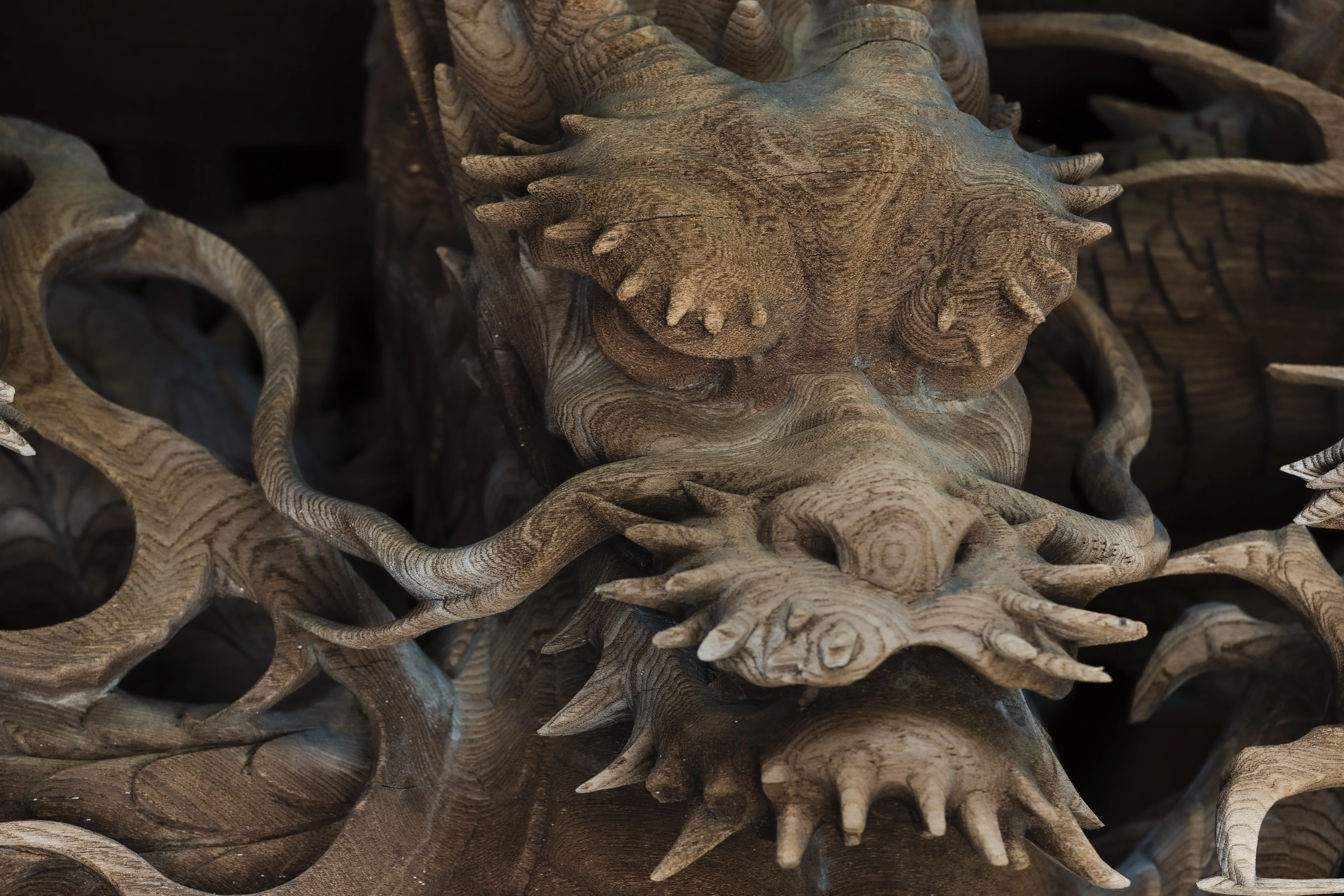 Main Hall & Carving Comparison Guide #2 - Dragon -｜川越氷川神社