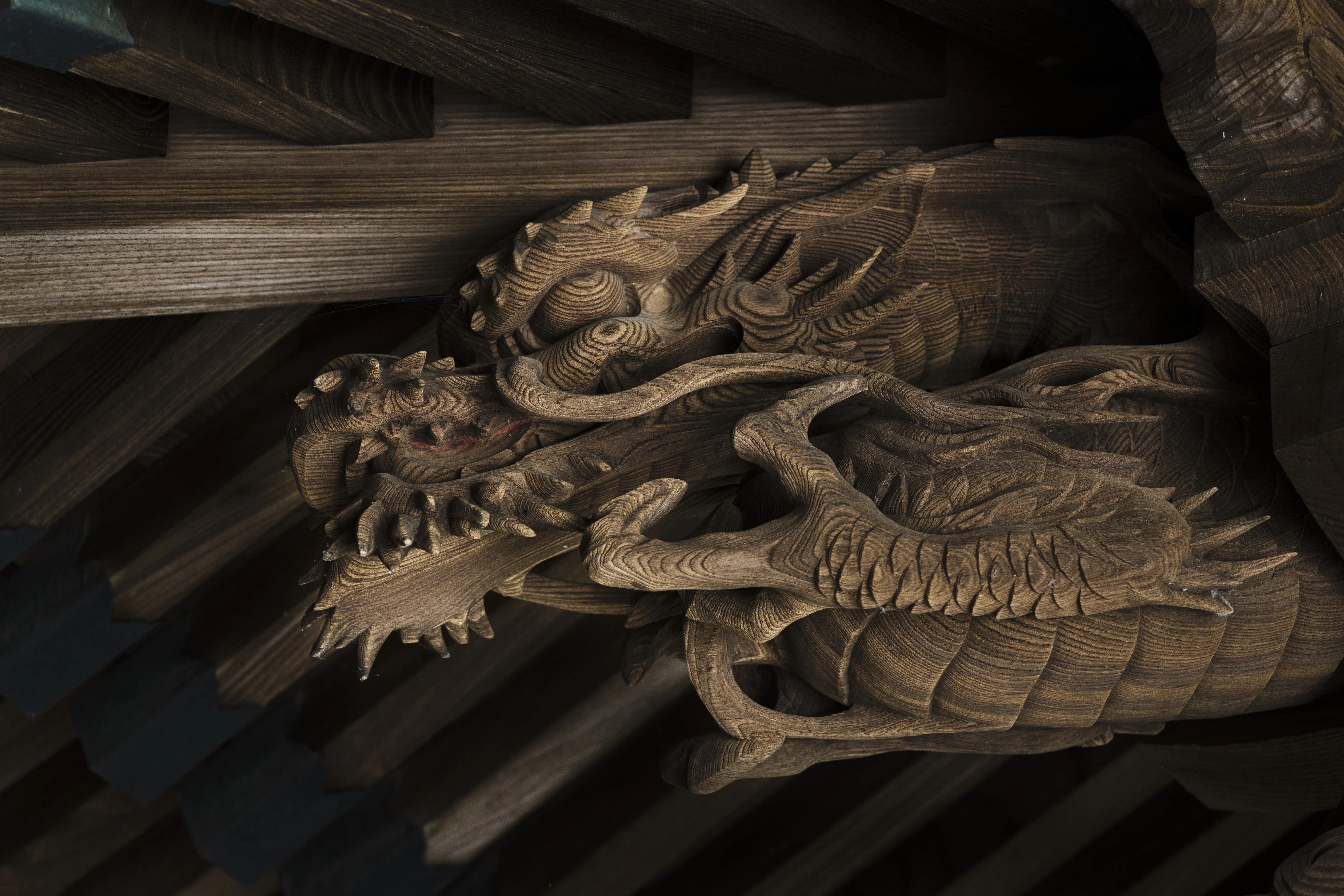 Main Hall & Carving Comparison Guide #2 - Dragon -｜川越氷川神社