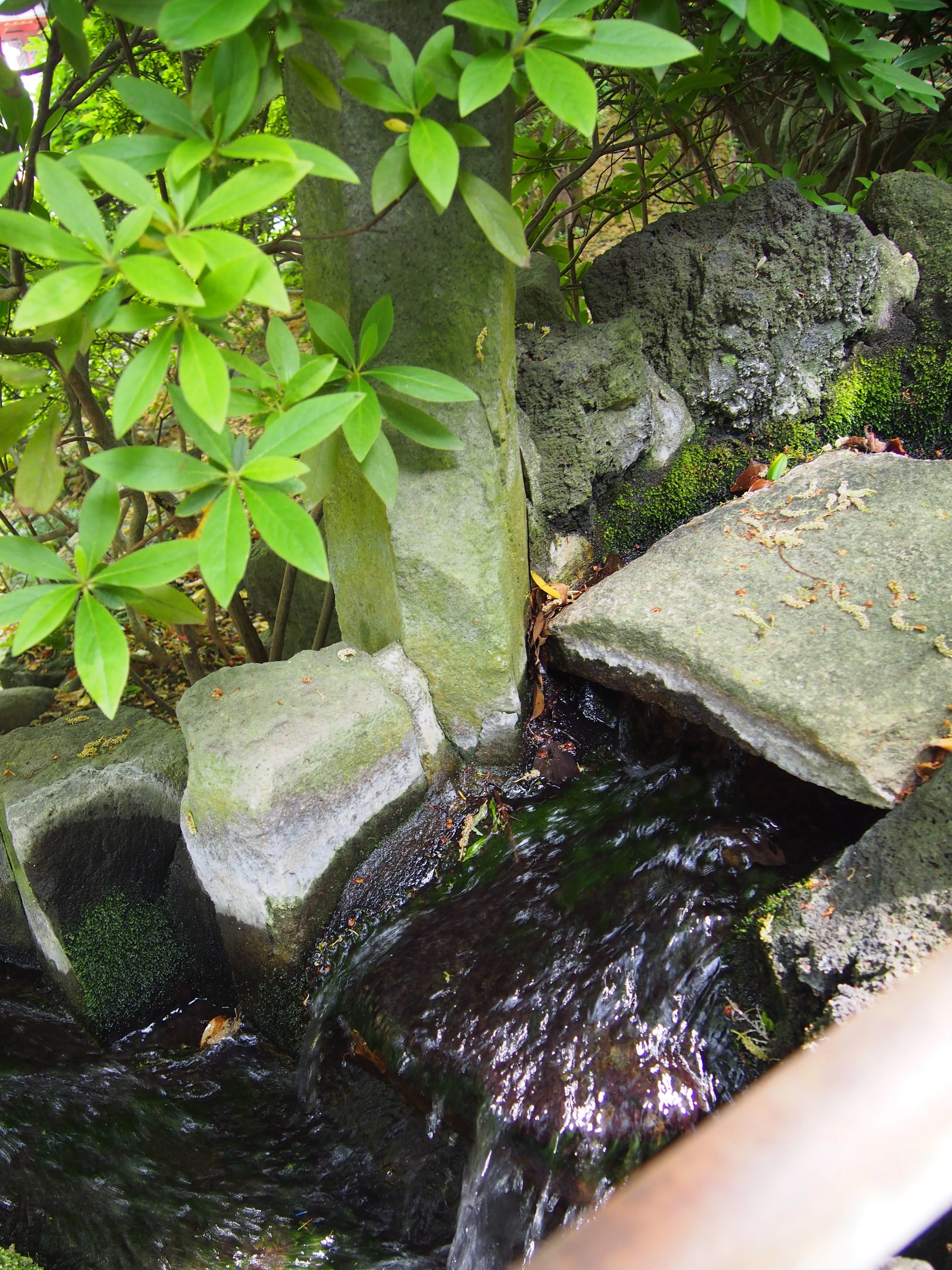 江戸の賑わいに思いを馳せて。根津神社つつじ苑で春を堪能する
