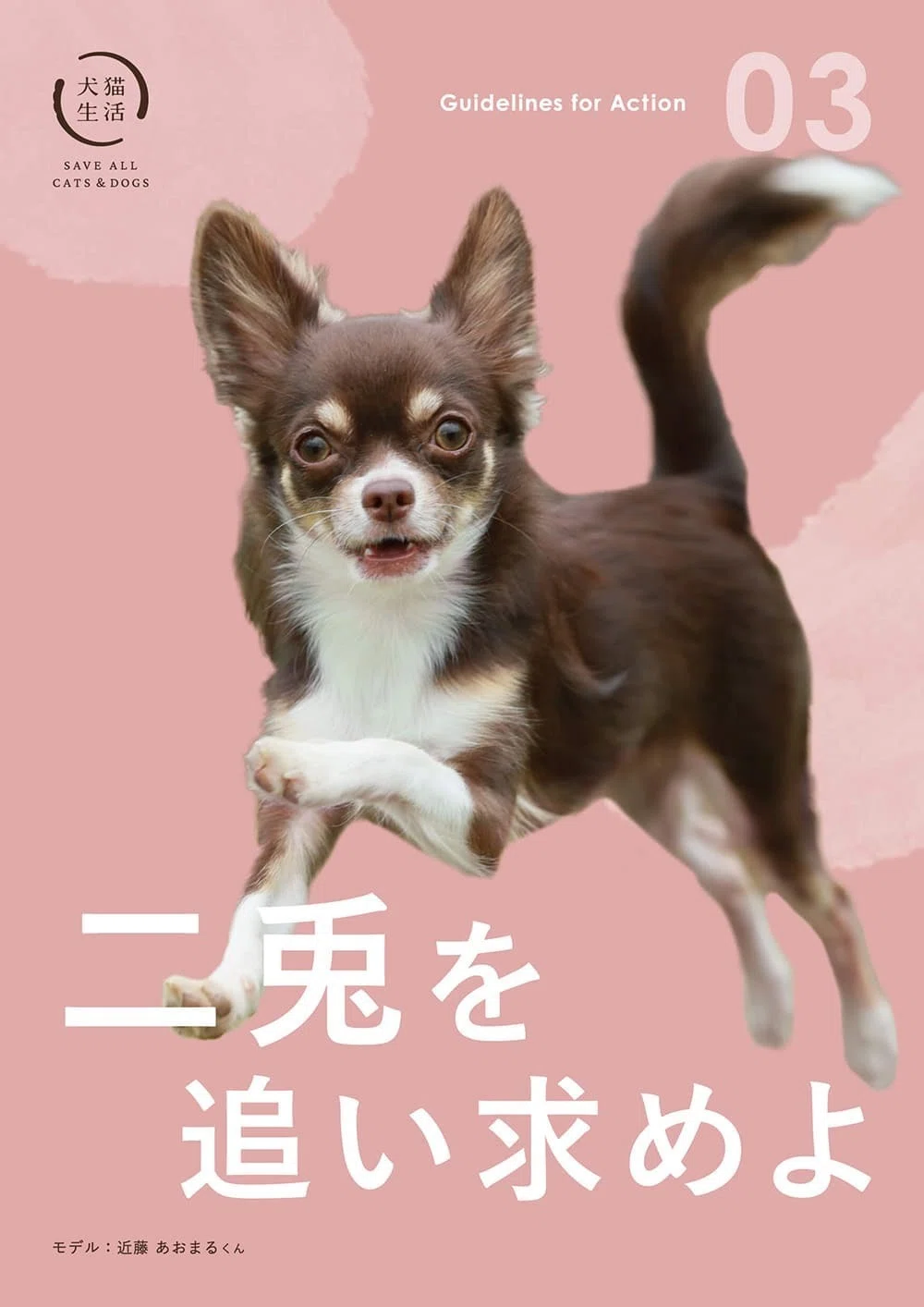 犬猫生活、上場。「ここからが本番」のベンチャーで、動物たちの未来を