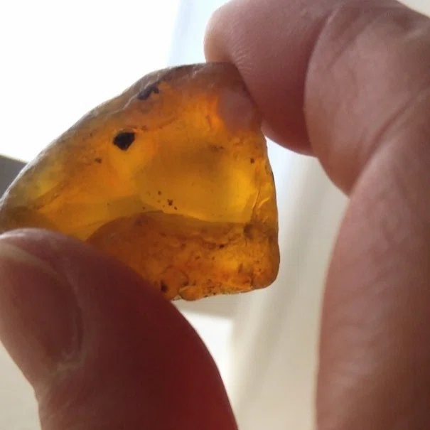 琥珀ページ これ以上の透明度は望めない！ガラス並みにクリアな、虫入りバルト海産 ピンズ・ピンバッジ・缶バッジ