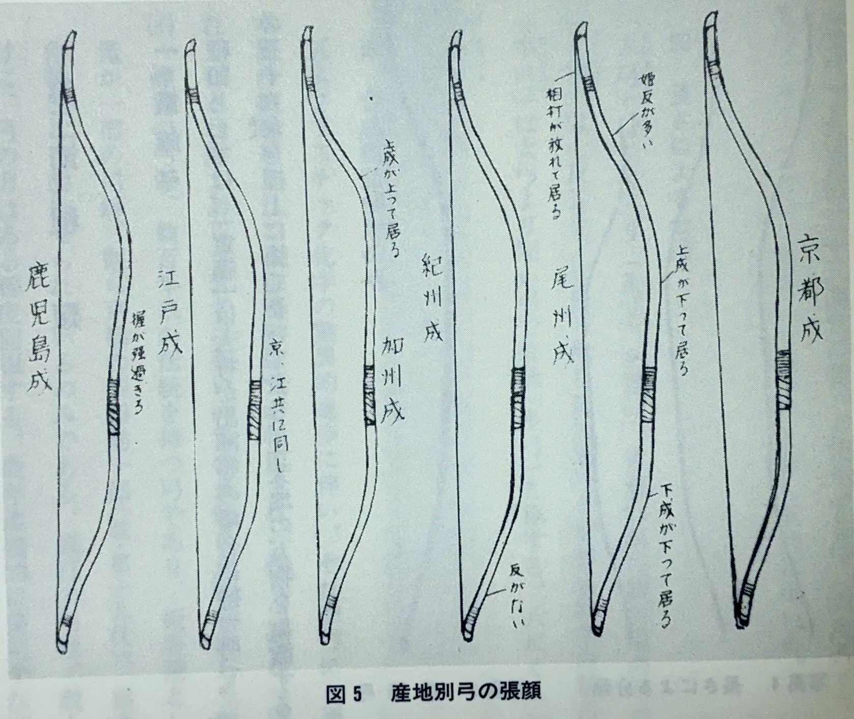 弓の成りについて｜岩切 寿