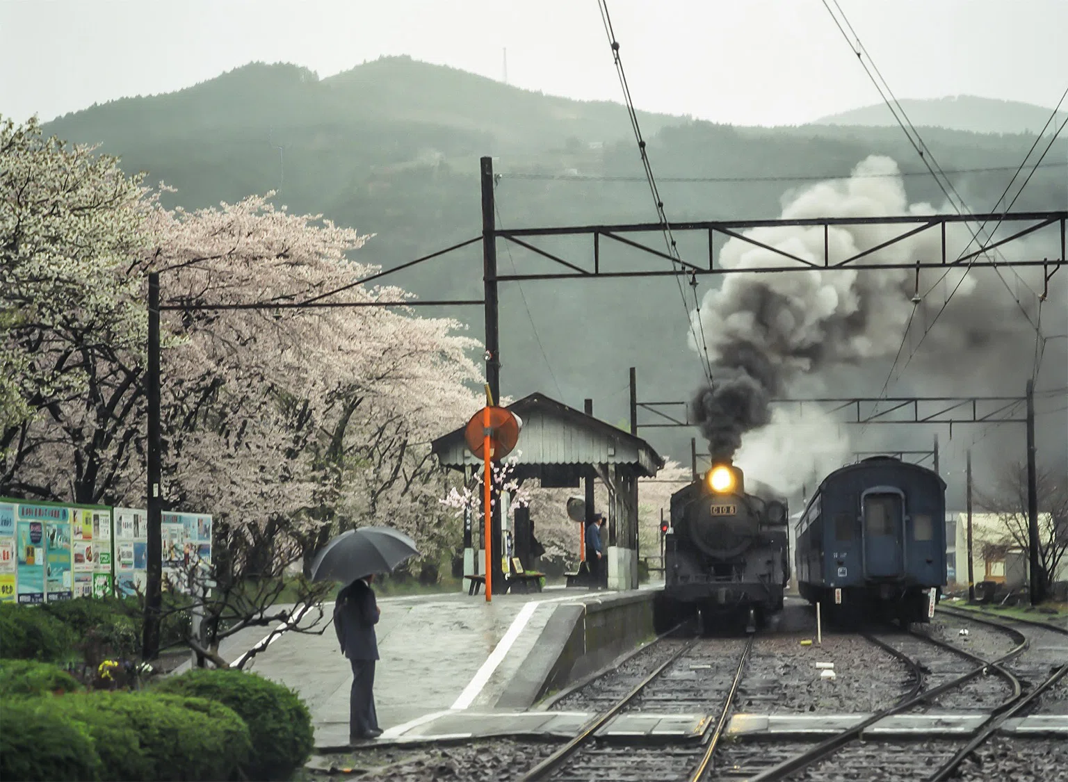 v269, 大井川鐵道：2003桜OFF （2003年）｜ひろやん
