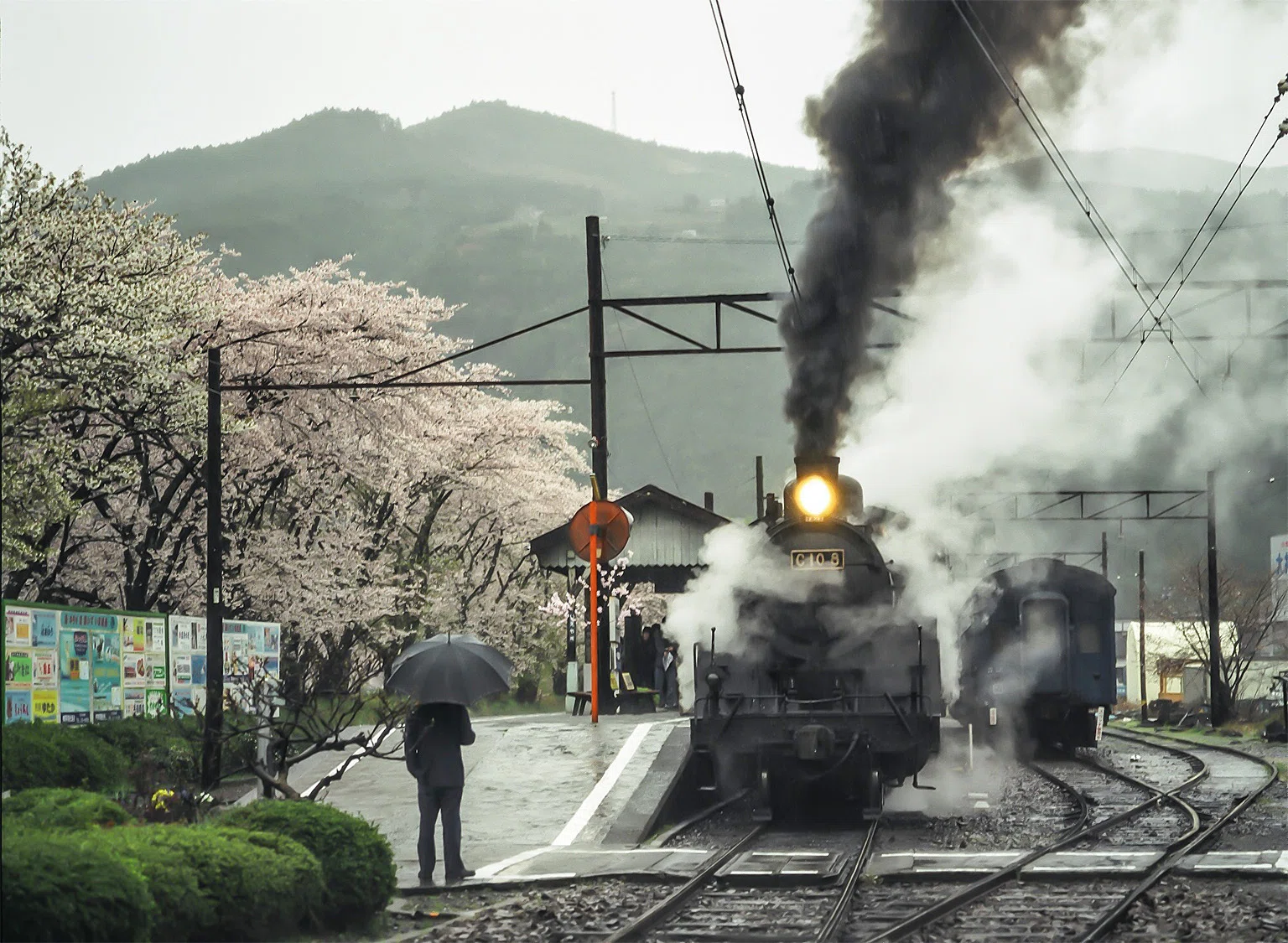 v269, 大井川鐵道：2003桜OFF （2003年）｜ひろやん