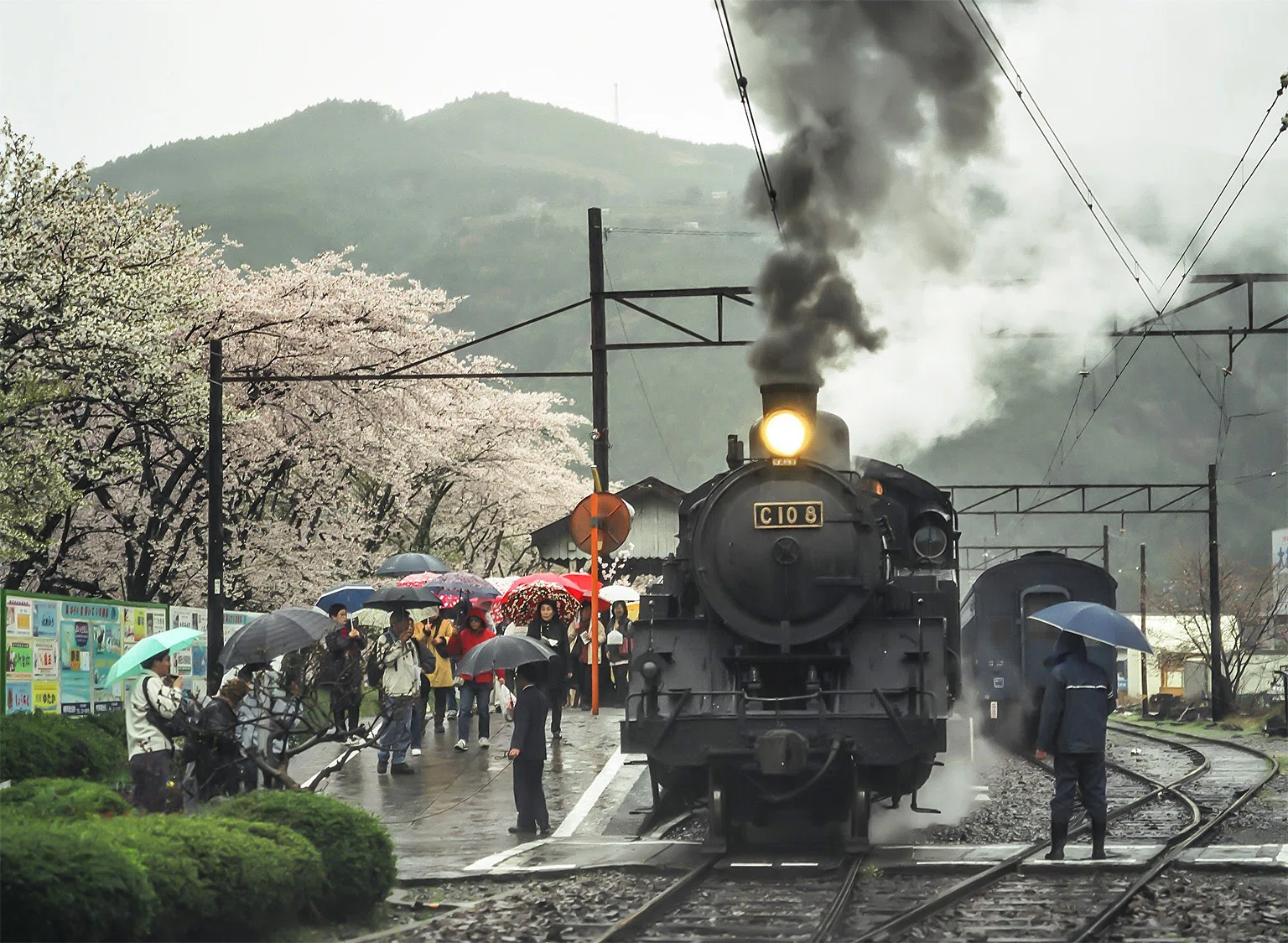 v269, 大井川鐵道：2003桜OFF （2003年）｜ひろやん