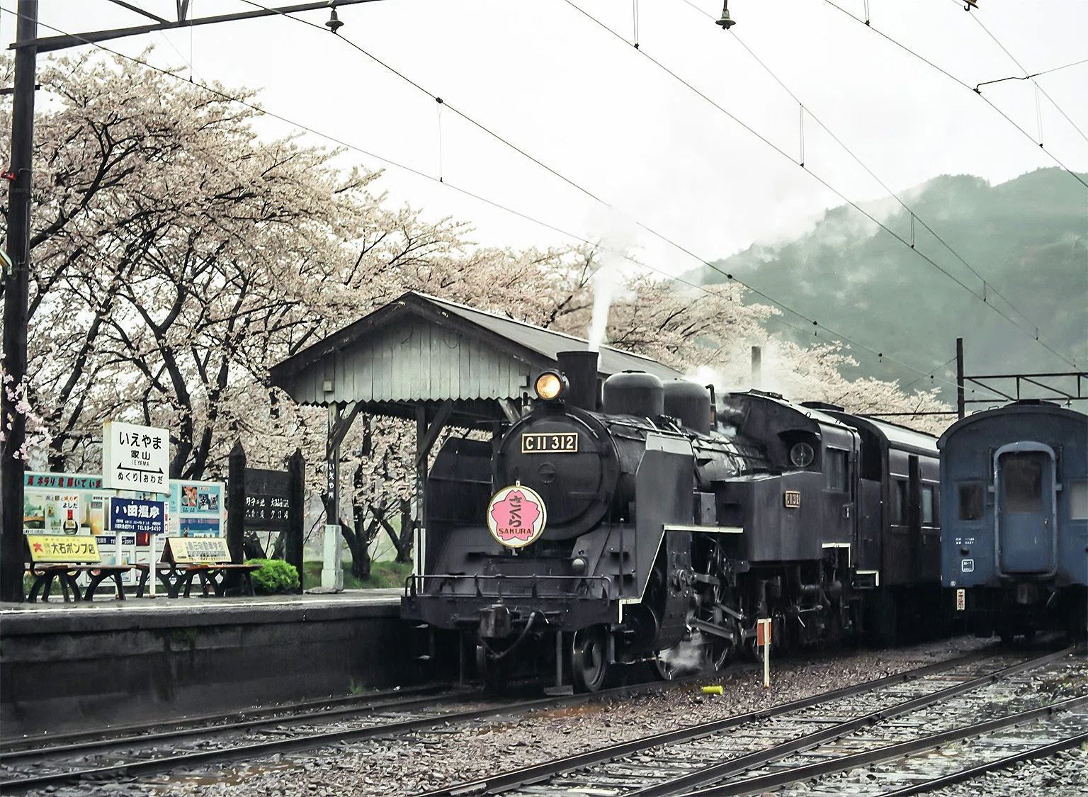 井川 v269, 大井川鐵道：2003桜OFF （2003年）｜ひろやん