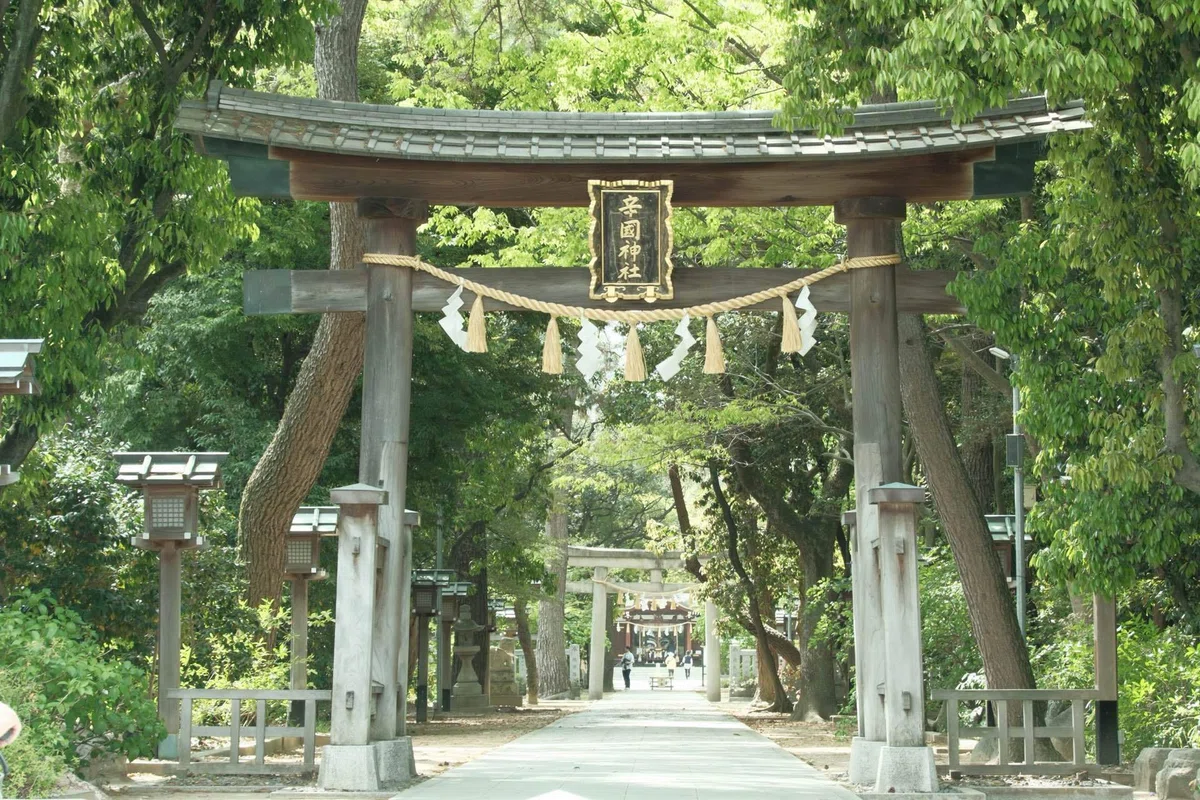 画像