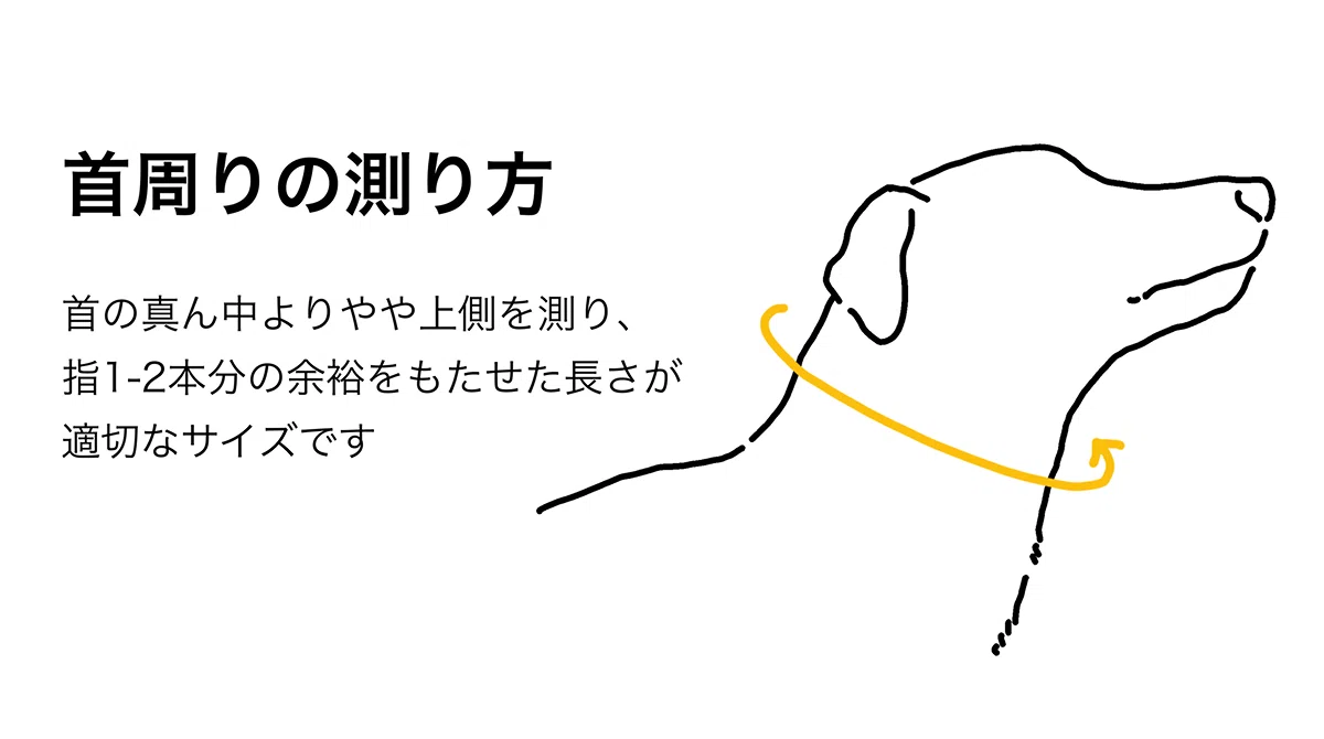 ご購入前ガイド】うちの子にぴったりのPawlinqを選ぶためのチェック