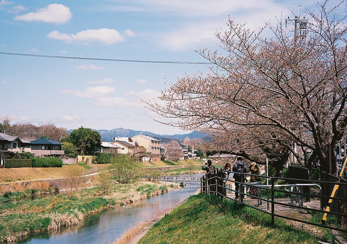 Kodak Ektar 100で写す春の京都の記録｜#20 film｜GEN