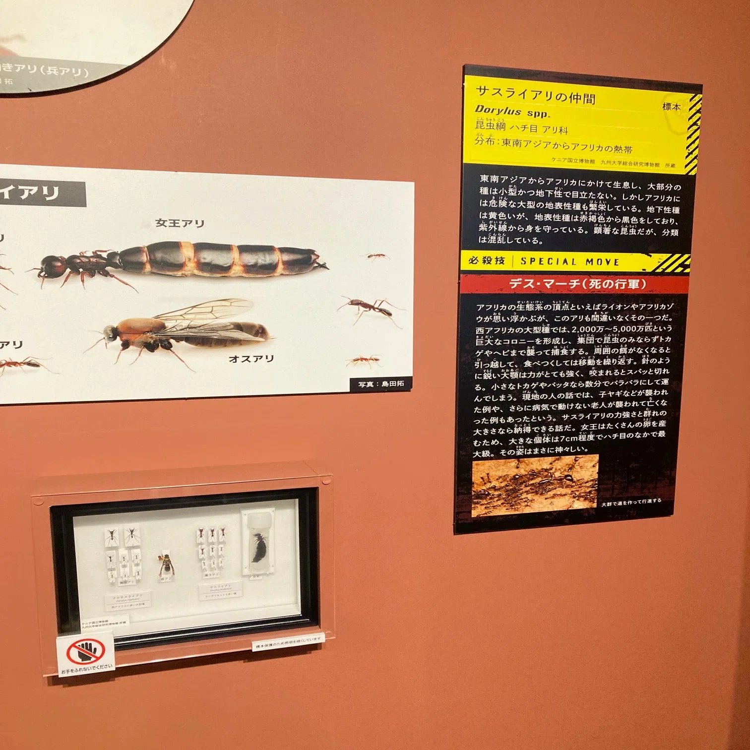 高校生物教員からみた科博「その”キケン”、ワケがあります！超危険生物