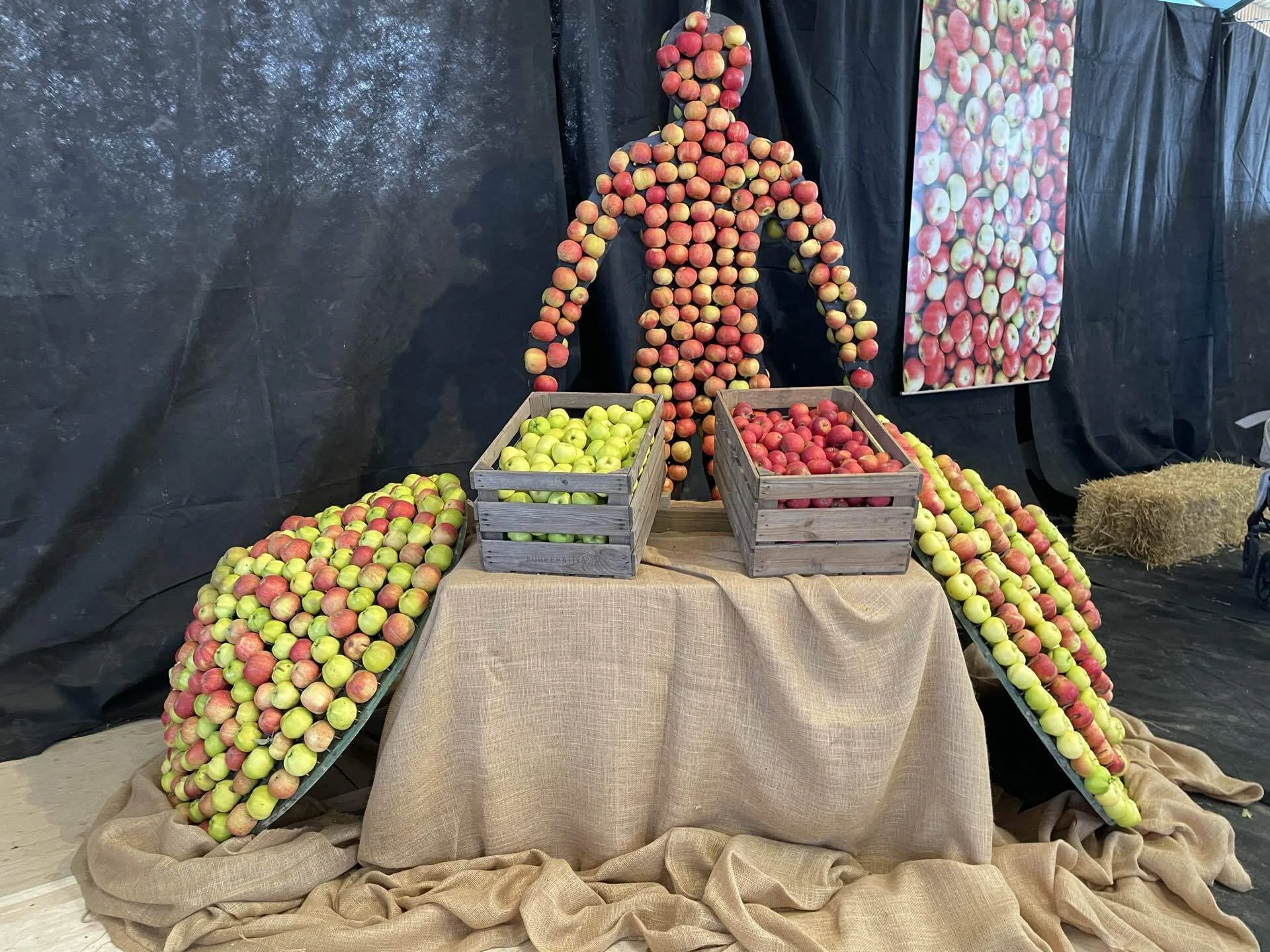 スウェーデン留学】一年に一回のリンゴ祭り🍎🇸🇪 in Kivik｜プロ