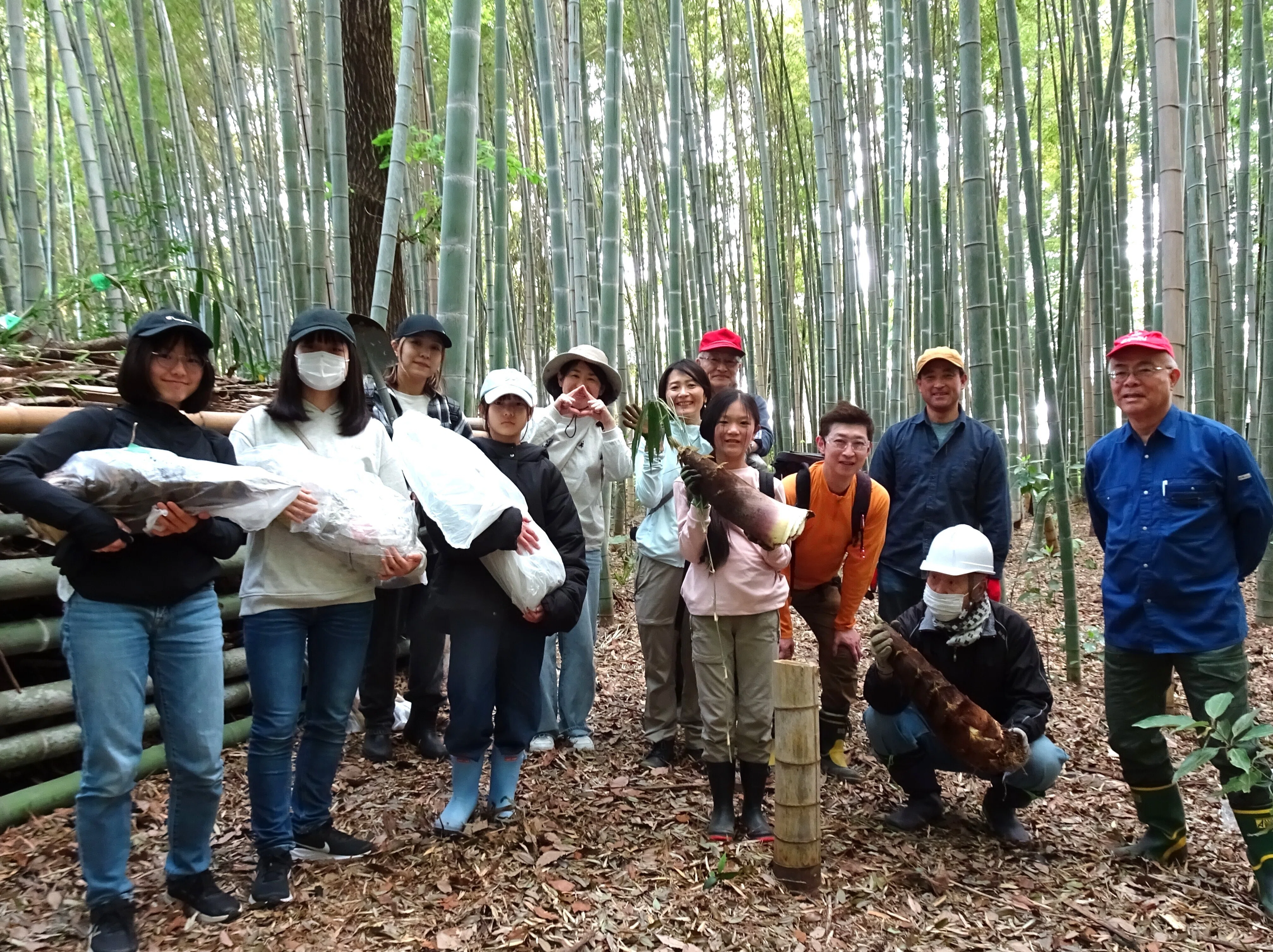 2026年4月18日(土)実施 宮崎竹林タケノコ掘り｜下総野田 谷津自然の会