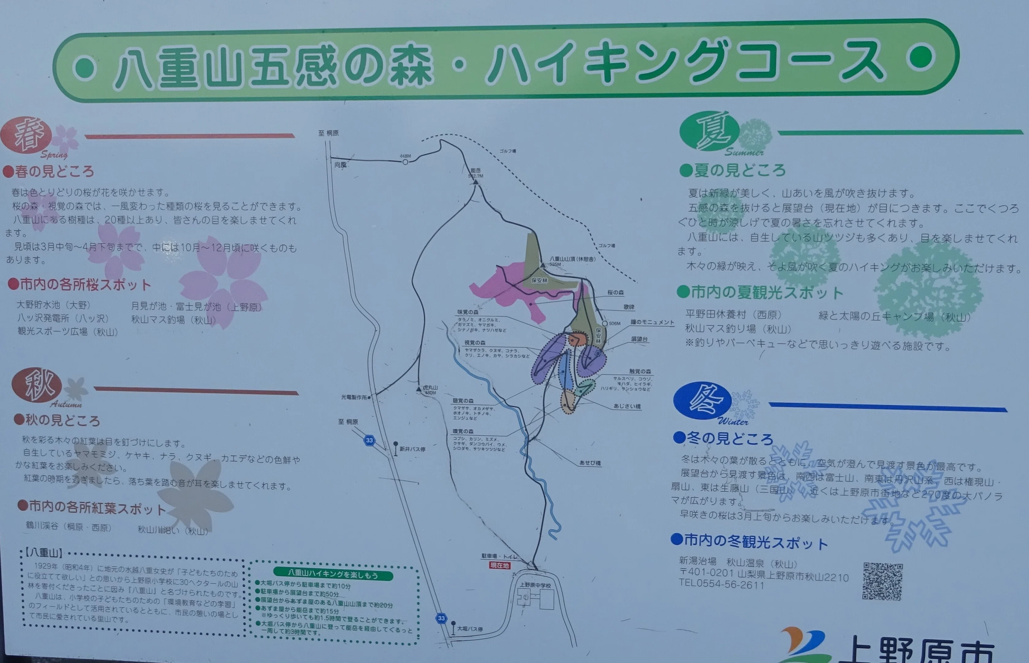 能岳・八重山へ春の生き物を訪ねて（山梨県上野原市）｜東陽一