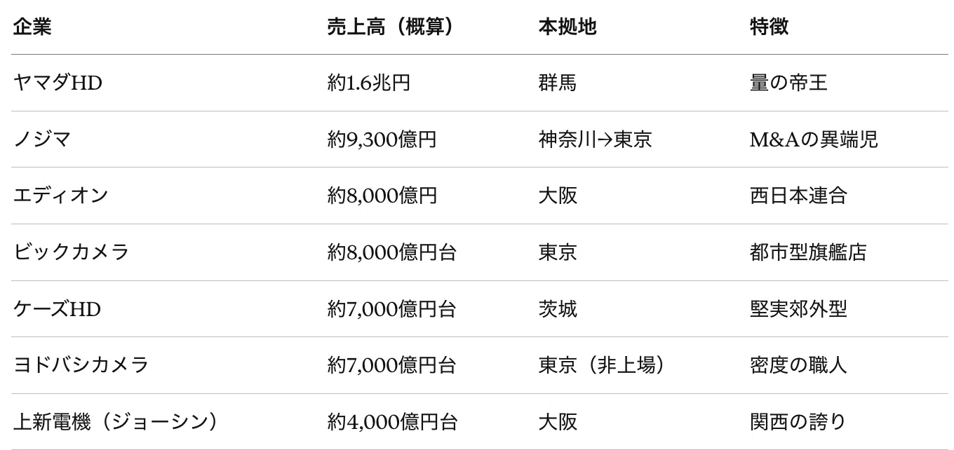 家電 量販 店 売上 ランキング