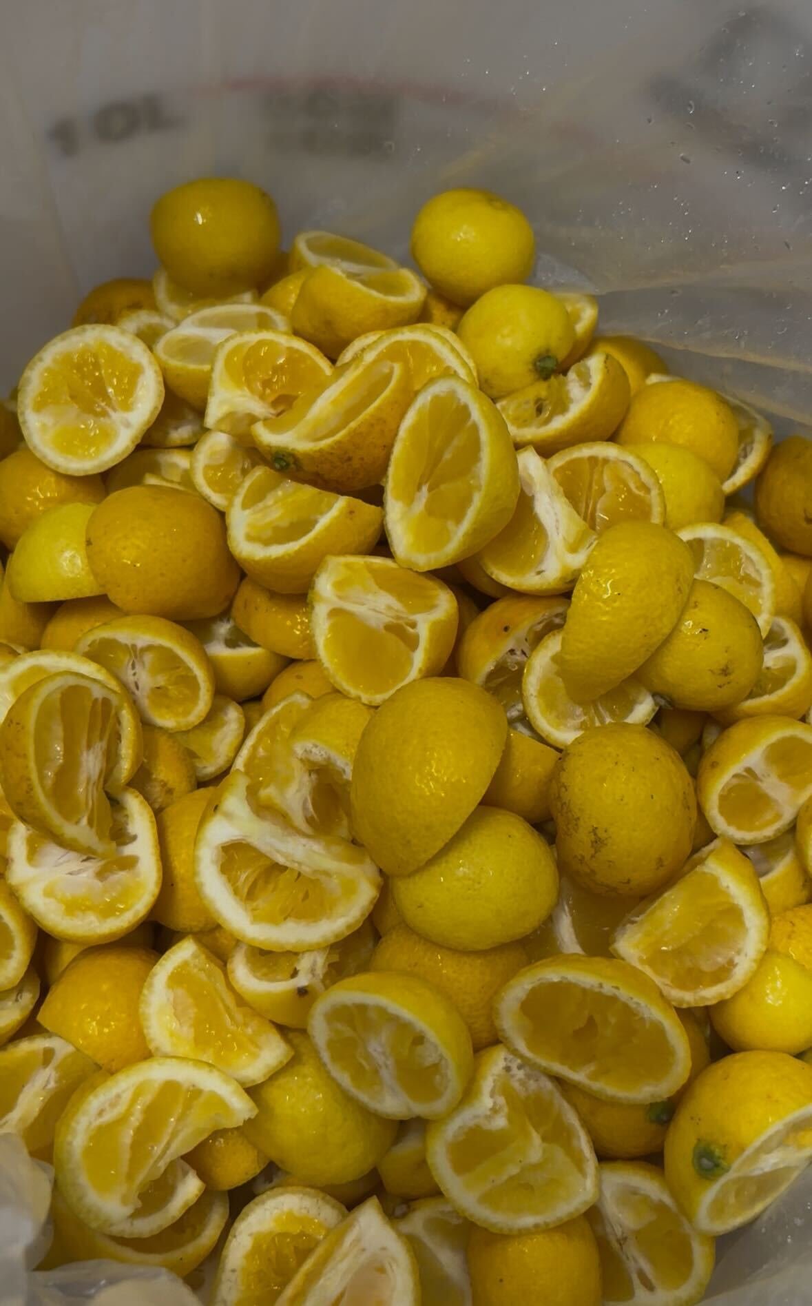 初夏完成予定！希少な柑橘「湘南ゴールド」を使用した、香り立ち上る