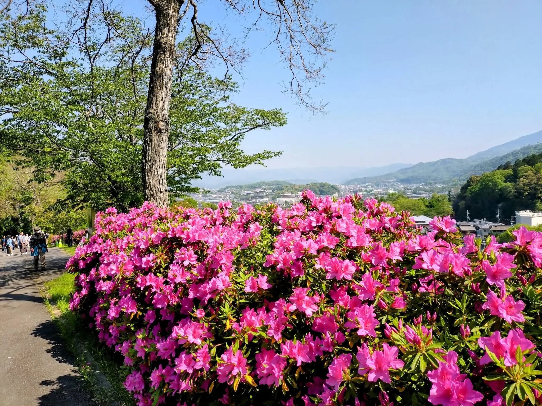 A Superb View You Can Only See for 3 Days in Kyoto | Keage Water