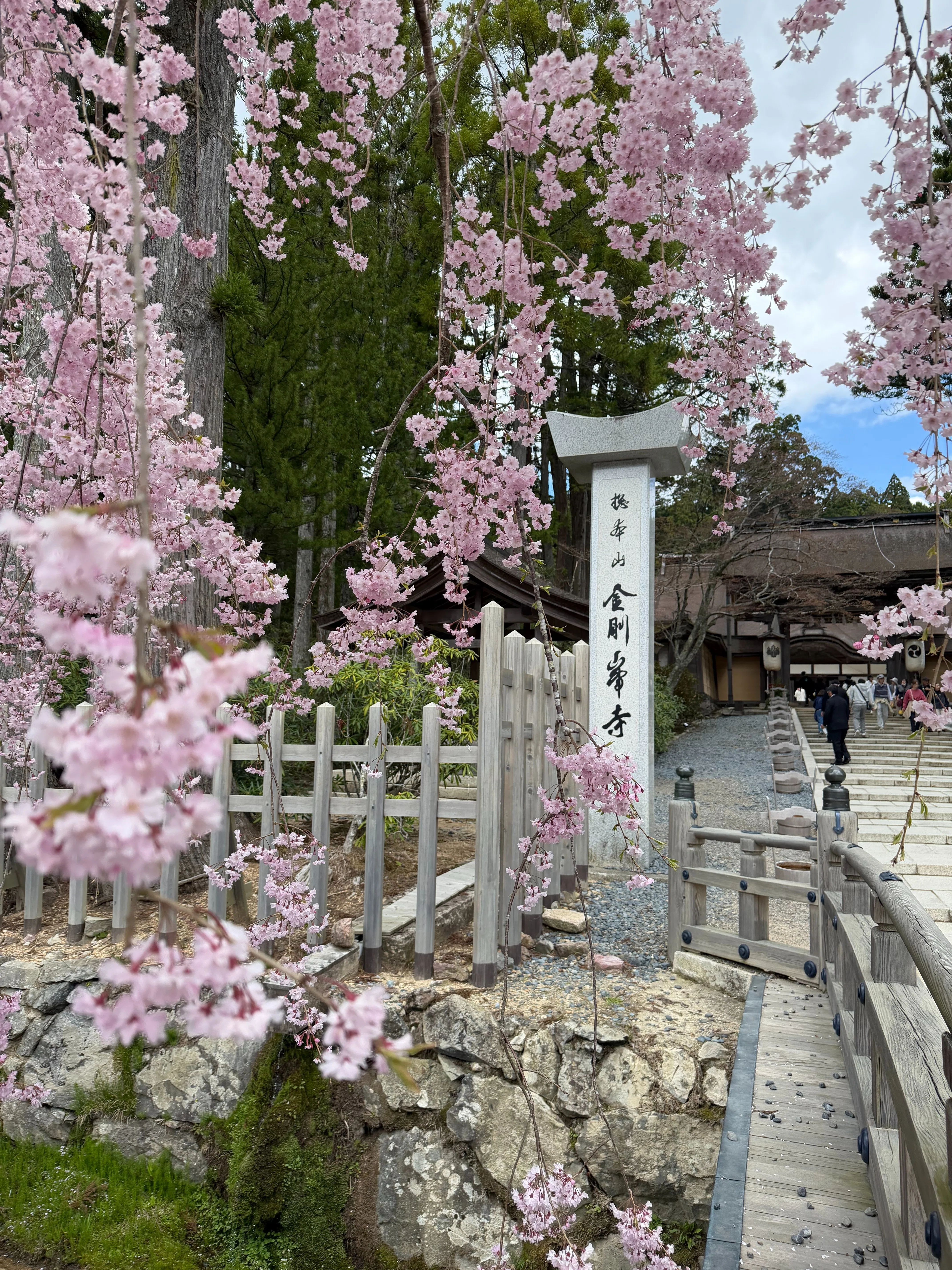 164 【高野山紀行⑧】金剛峯寺の襖絵に魅せられて。案内所で出会った