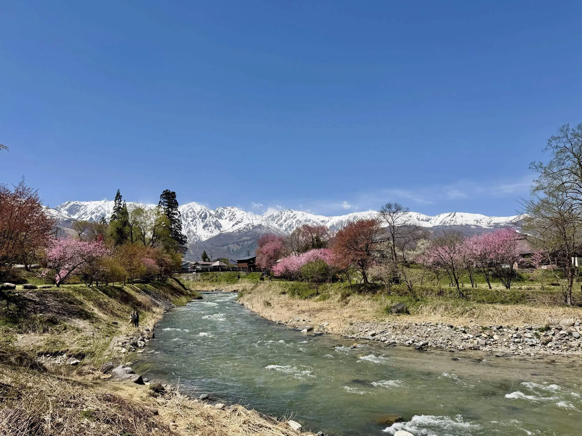 長野旅｜桜前線🌸 初夏の日差しで4月半ばに一気に北上！｜ノコ