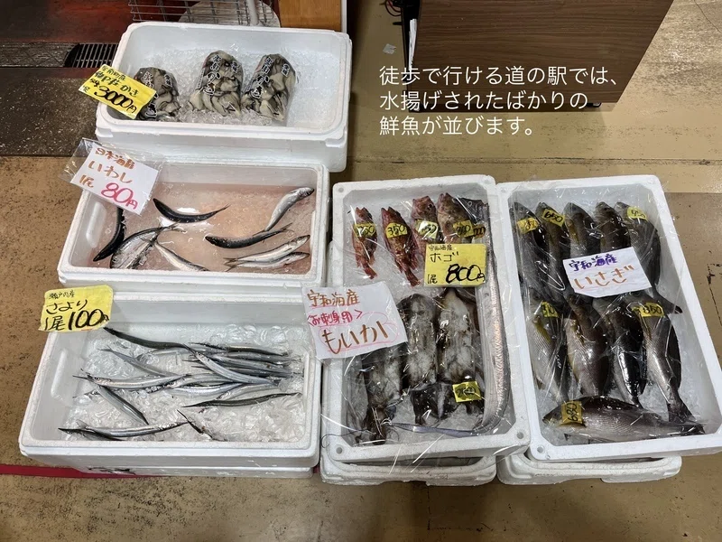 また来たい町に、宇和島が加わりました」レビューが教えてくれたこと