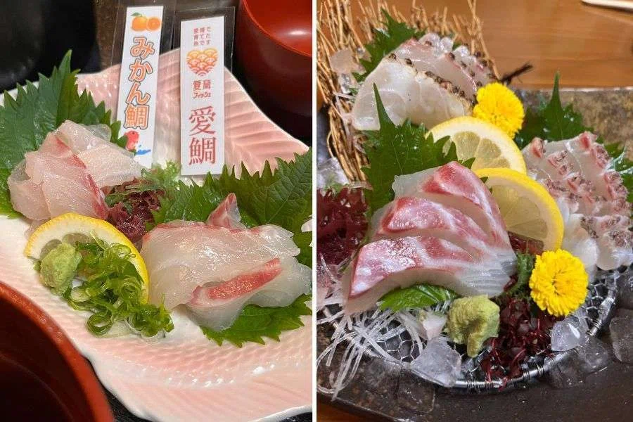 また来たい町に、宇和島が加わりました」レビューが教えてくれたこと