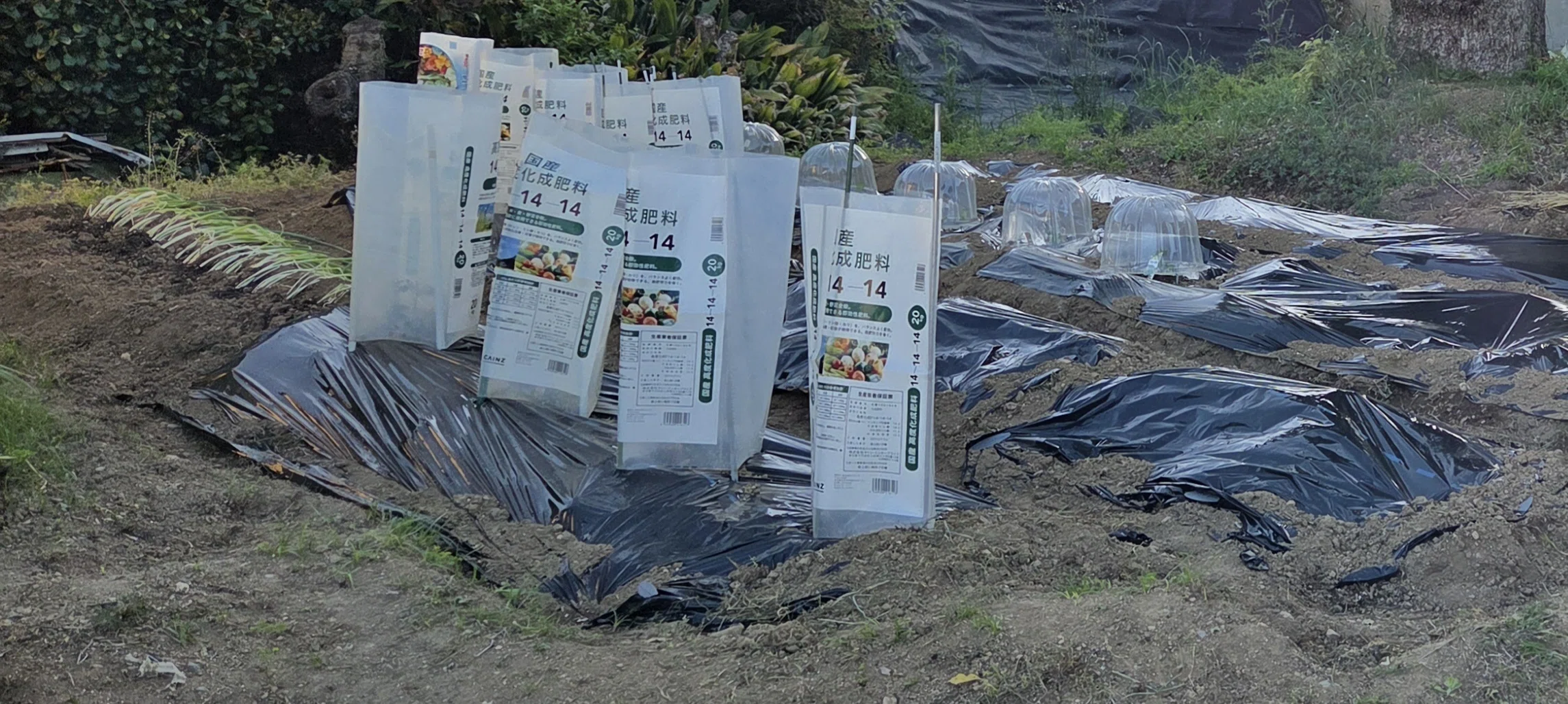 夏野菜の苗植え🌱Log8（2026）｜ルビー