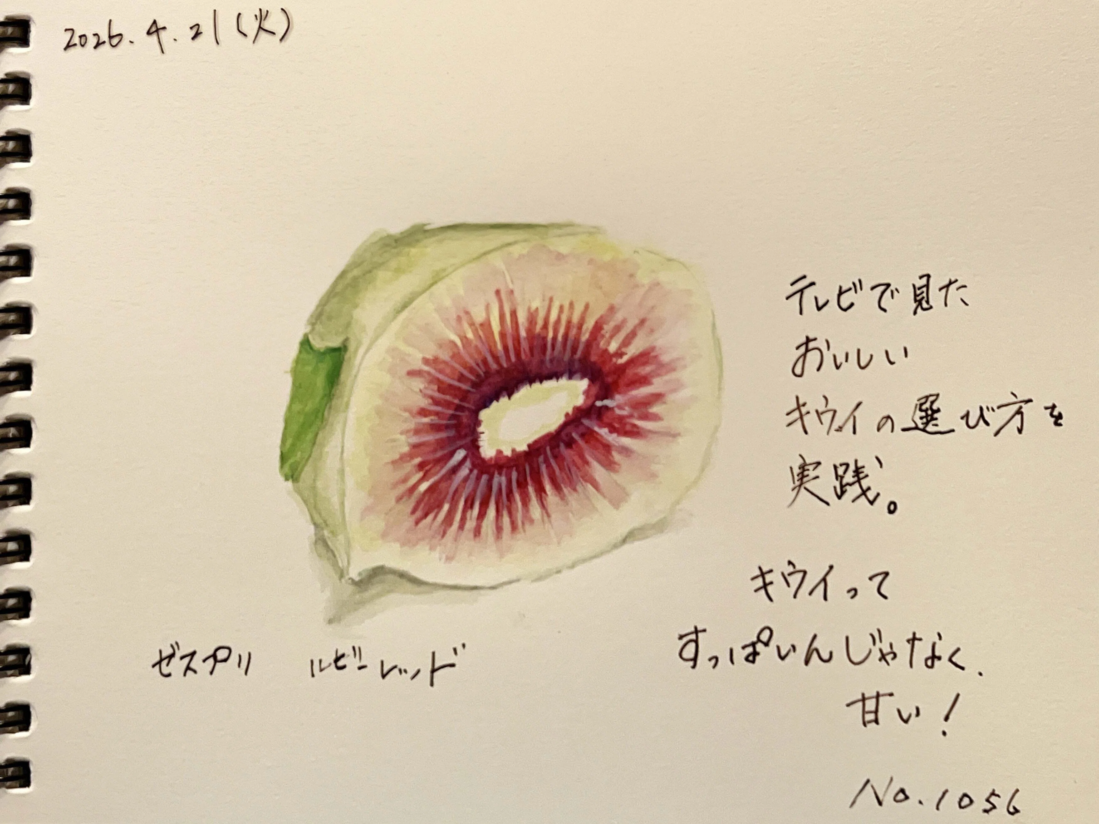 絵日記】甘いフルーツやった・・・｜どんぐり