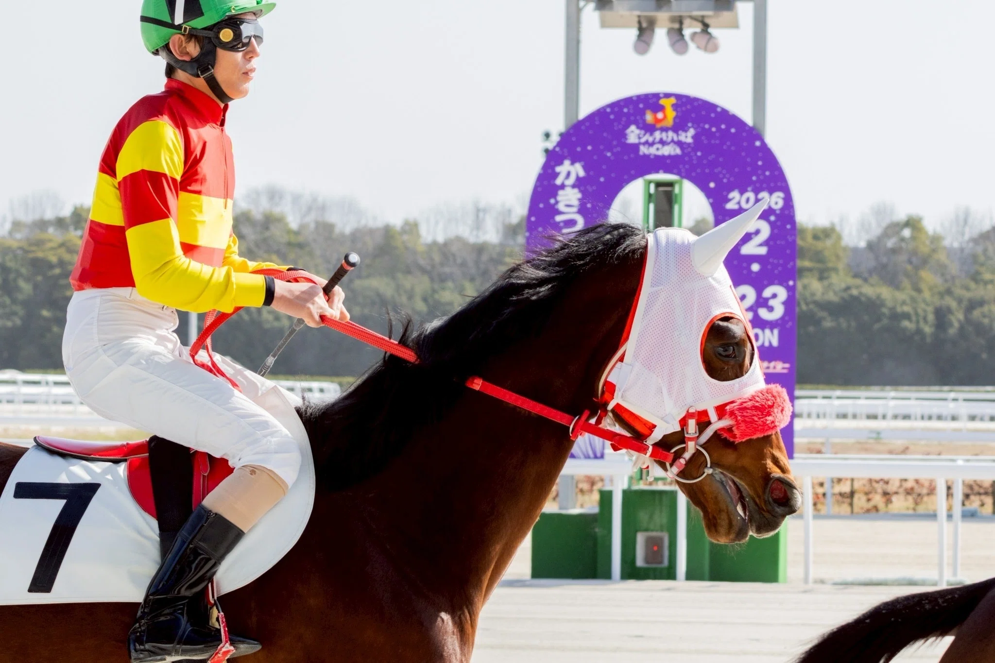 競馬写真集⑤（2026年2月下旬〜3月）｜ななしの緑