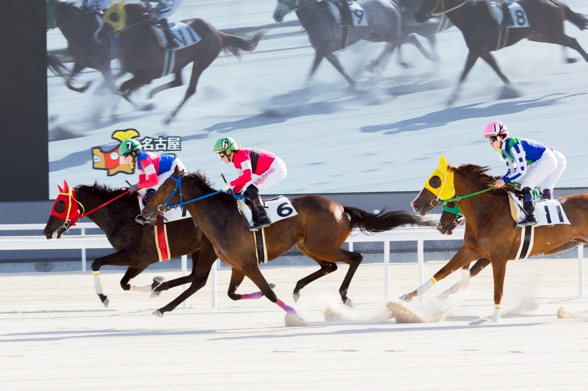 競馬写真集⑤（2026年2月下旬〜3月）｜ななしの緑