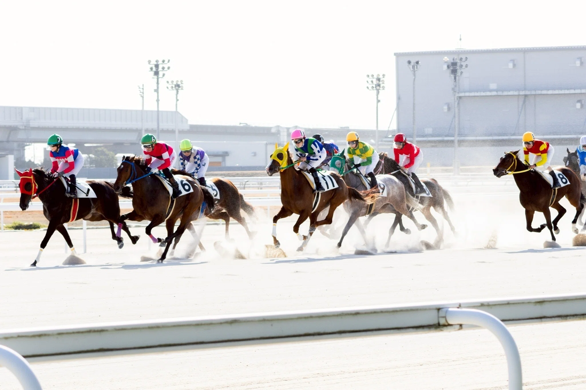 競馬 JRA 写真集 JRA デジタルブック コレクション