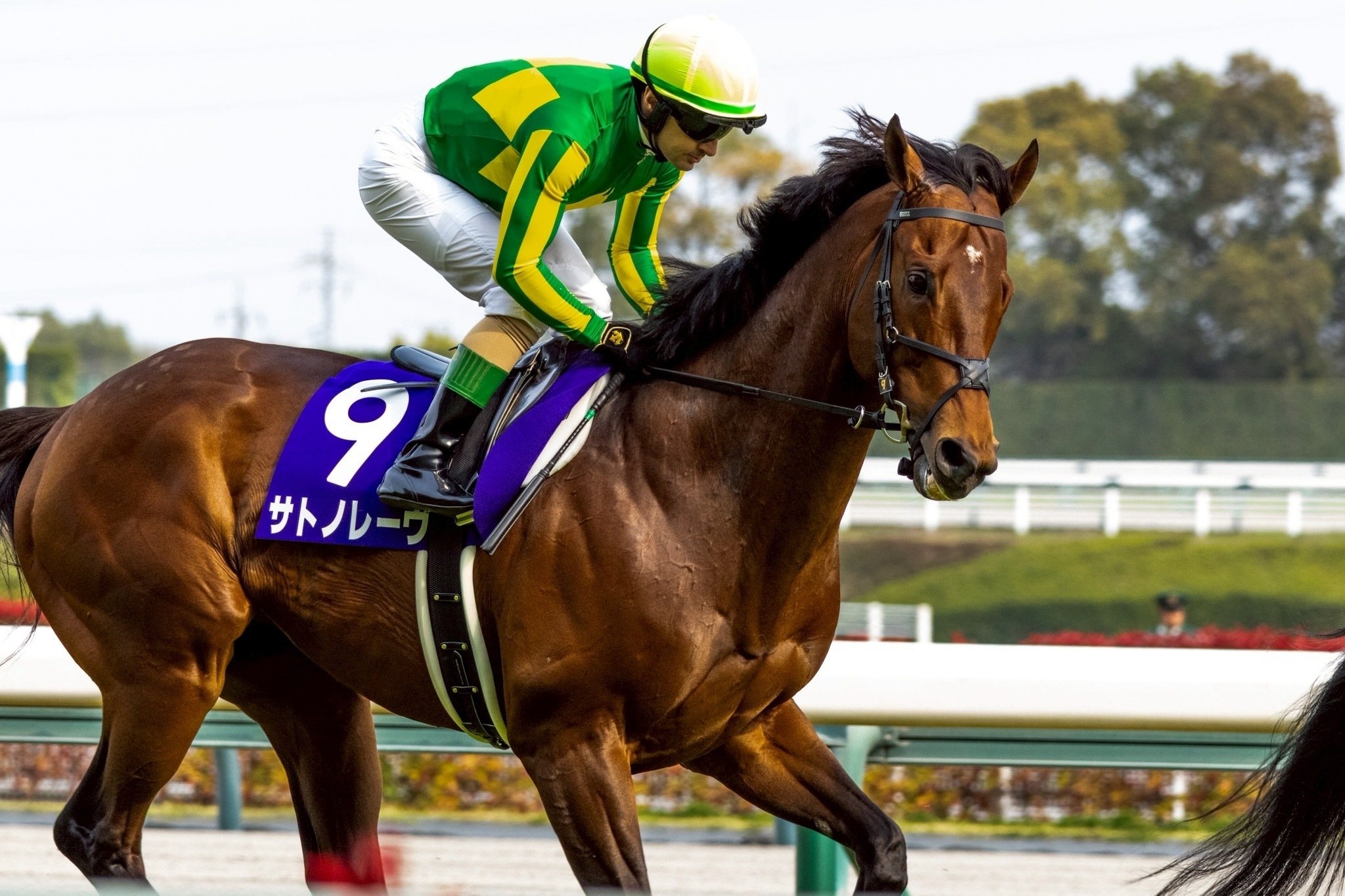 激レア 絶版 廃盤 写真集 ONTHETURF2 競馬 ドウデュース写真集 メモリアル撮り下ろし』（宮澤 正明）｜講談社