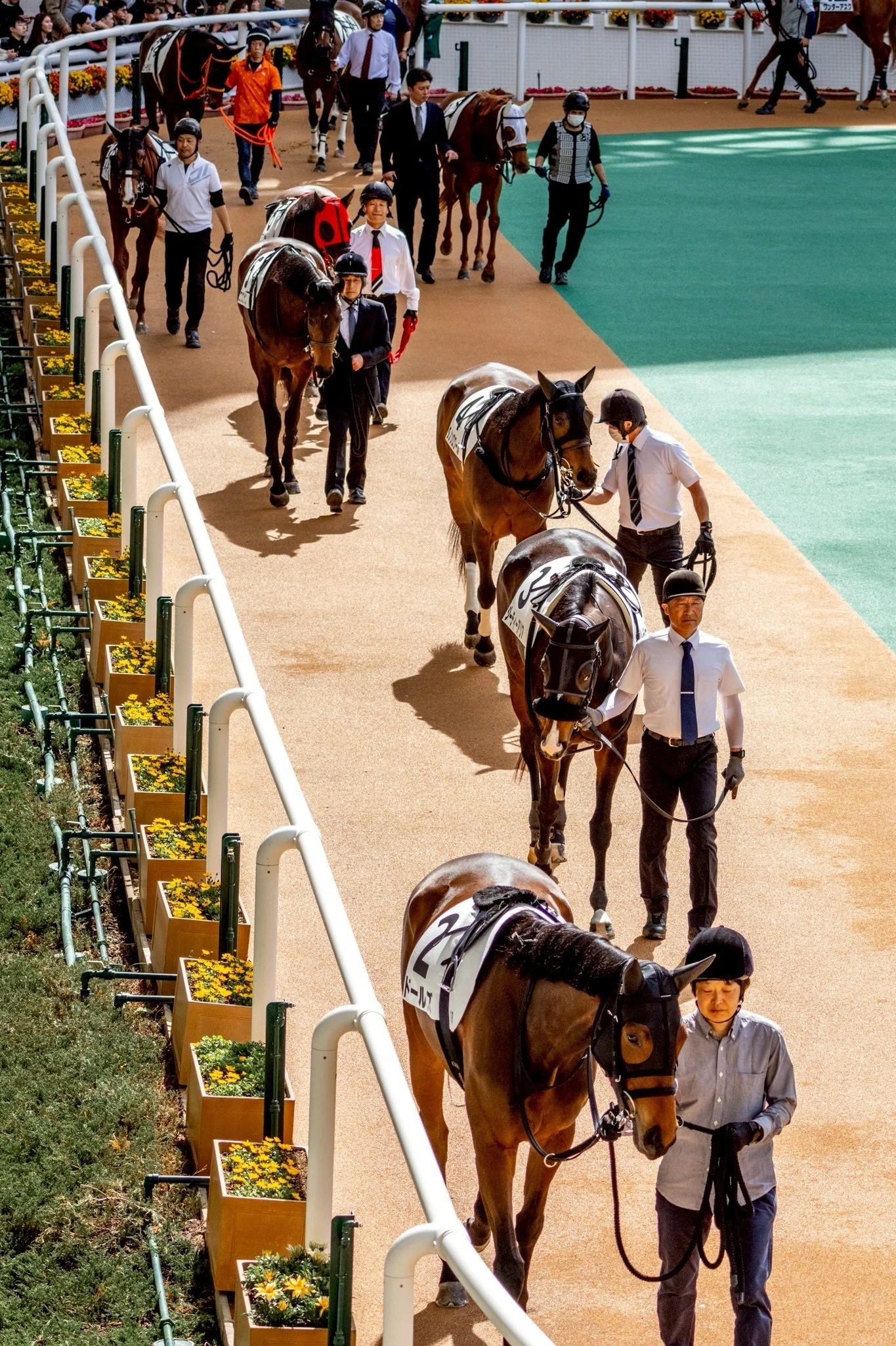 JRA 競馬 写真集 競馬写真集⑥（2026年4月）｜ななしの緑