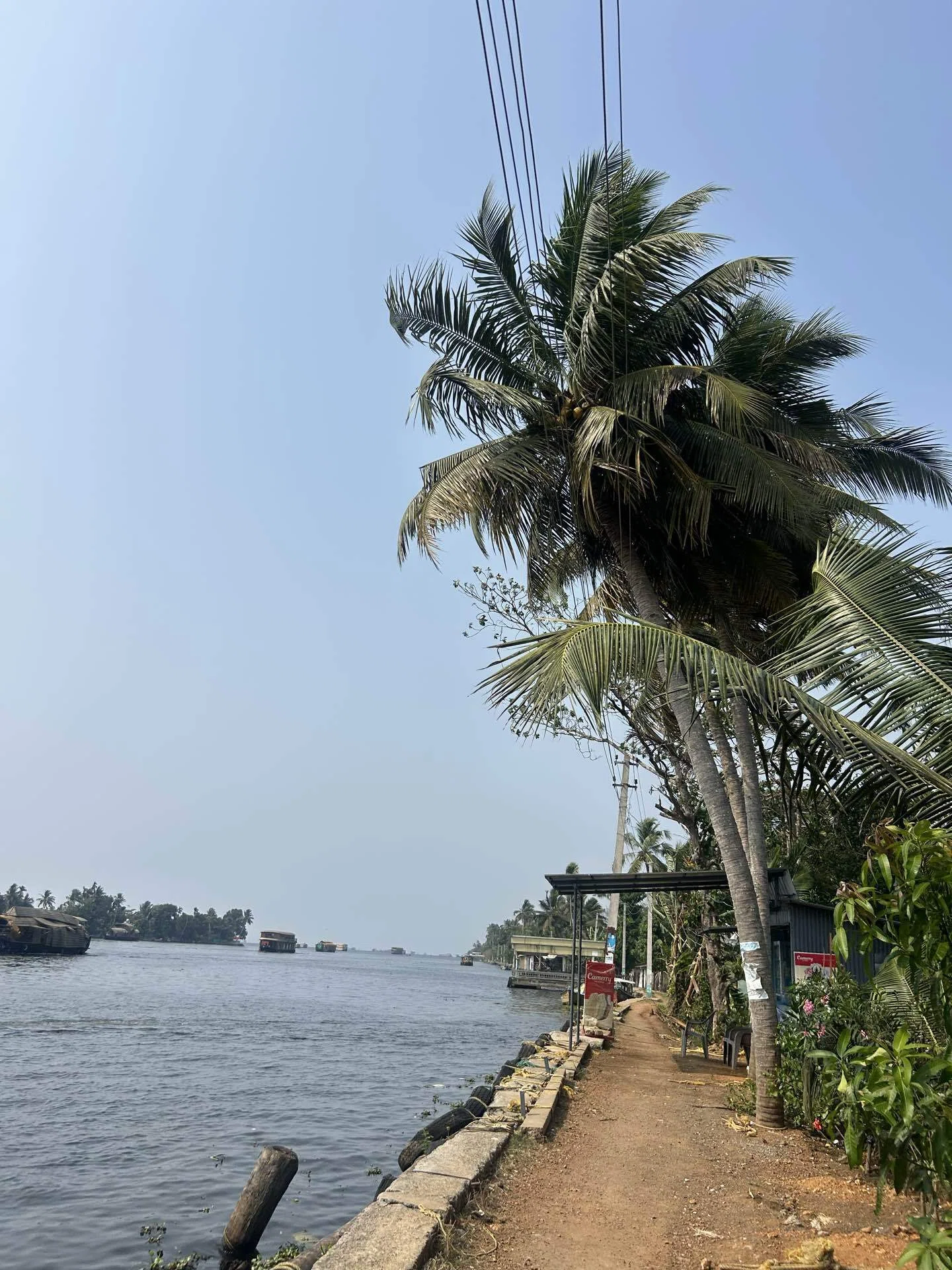 インド旅行記】ケララ〈ハウスボート編〉🛶🌴｜まる