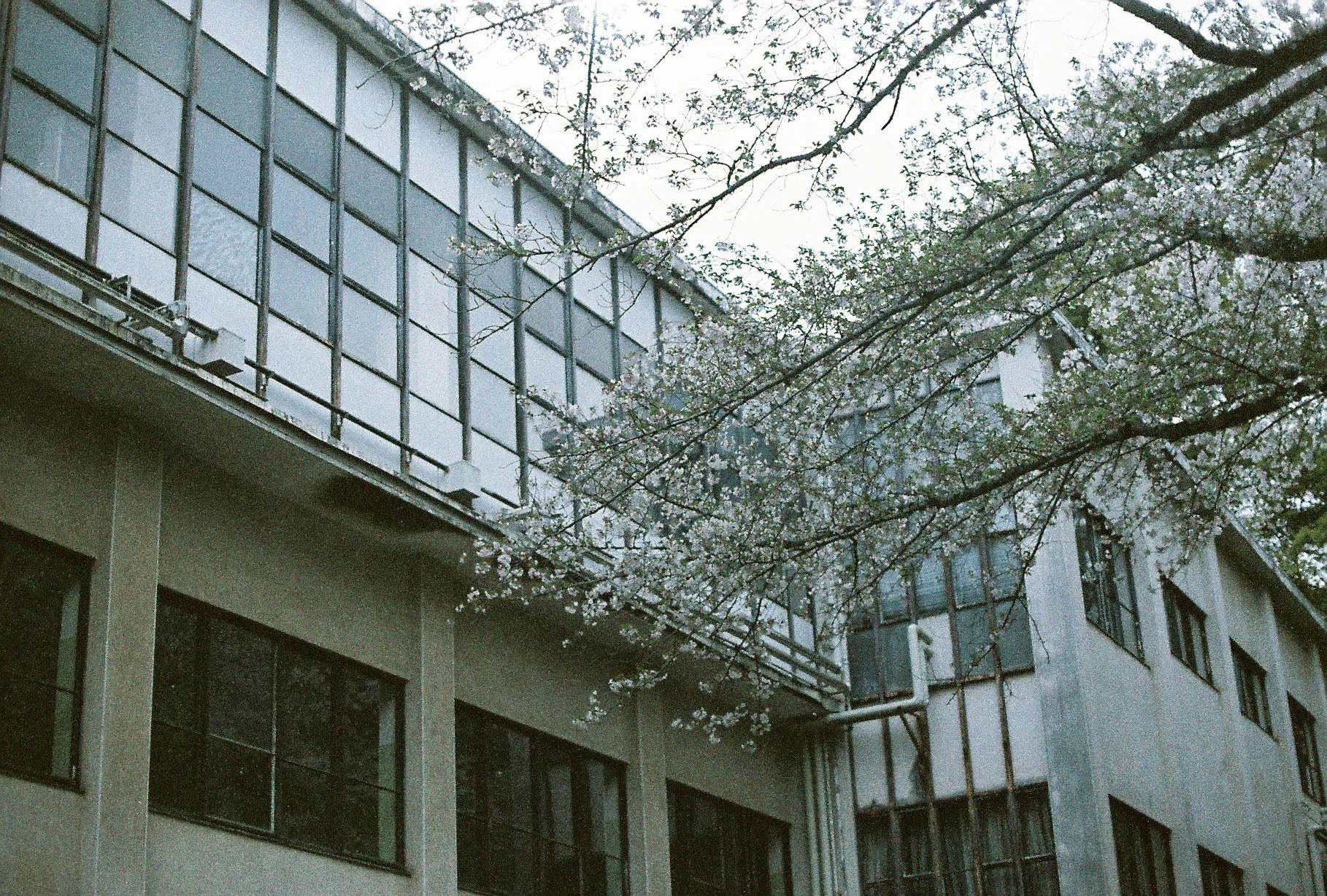 珍フィルムスナップ：LomoChrome Color '92（神奈川・小田原