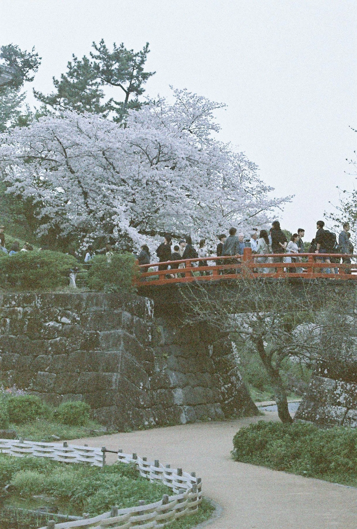 珍フィルムスナップ：LomoChrome Color '92（神奈川・小田原