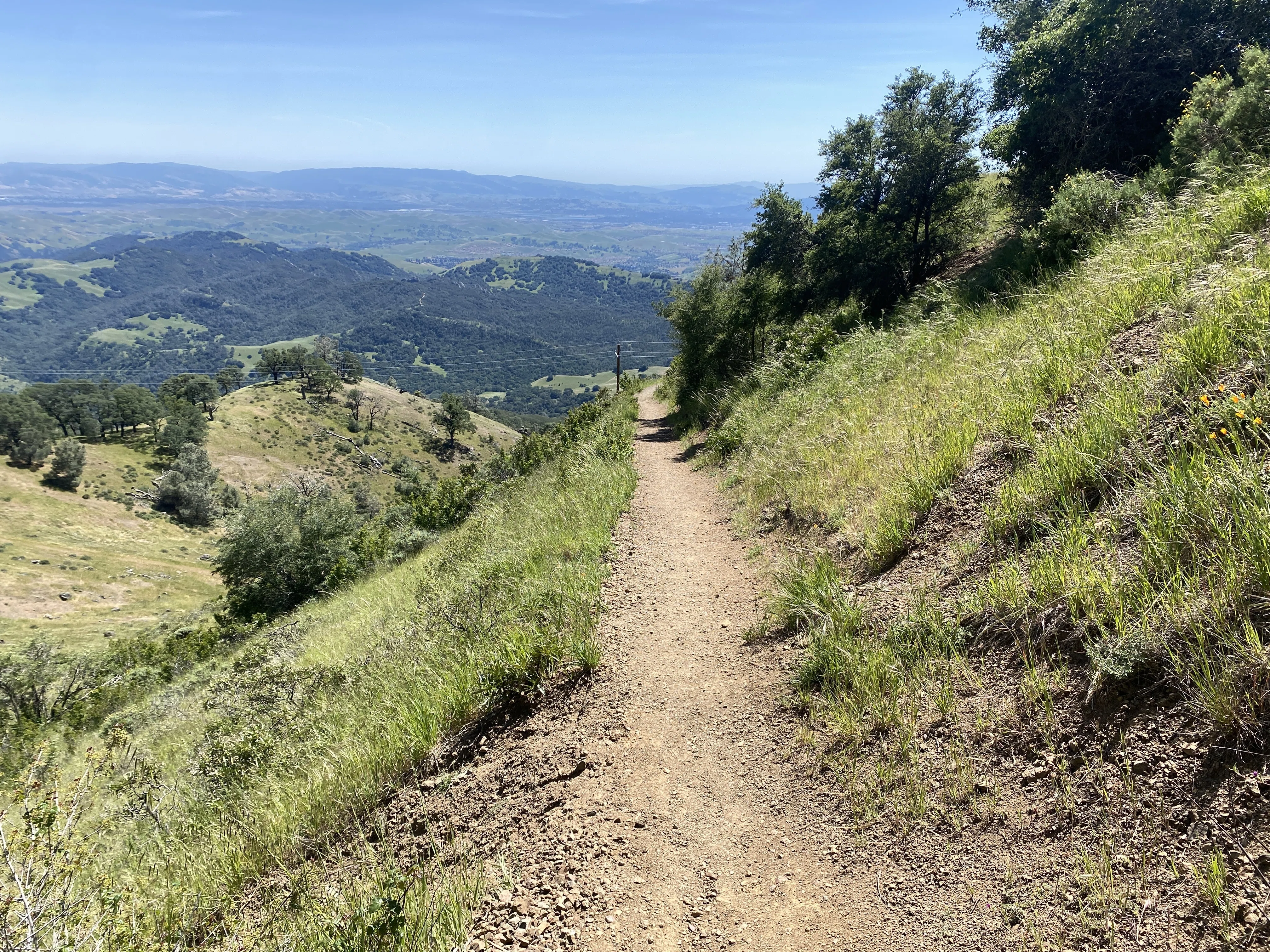 360°のパノラマビュー〈Mount Diablo State Park〉で絶景トレイル