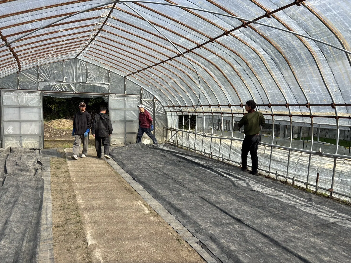 農業】稲作の出発点「種まき・苗広げ」のお手伝い｜海士町 里山里海 