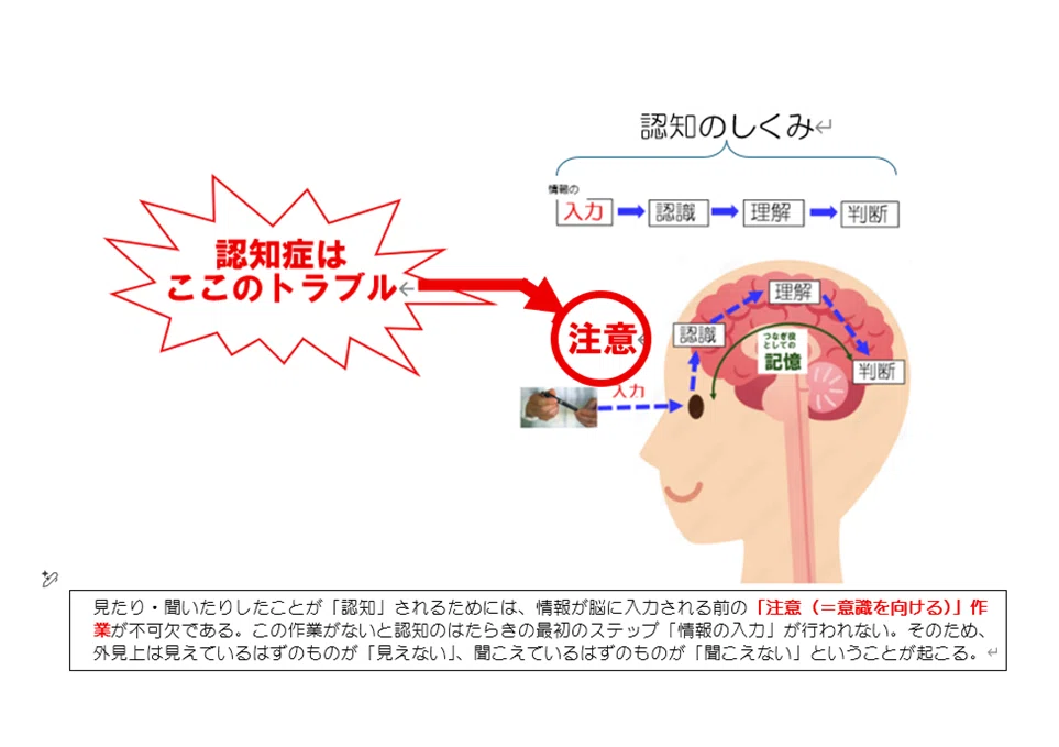 認知症は「記憶が壊れる病気」ではなかった｜のちりん