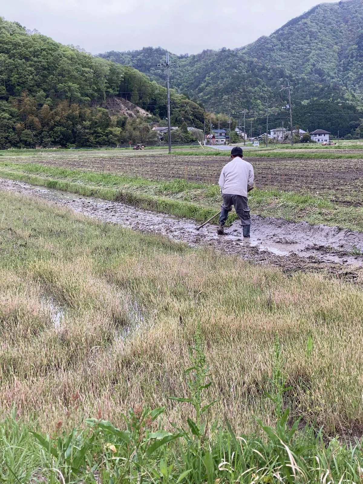【こういうのは】〜畦塗りしてます〜【若いから出来る事】｜大橋あきひさ 農薬を使わない米作り