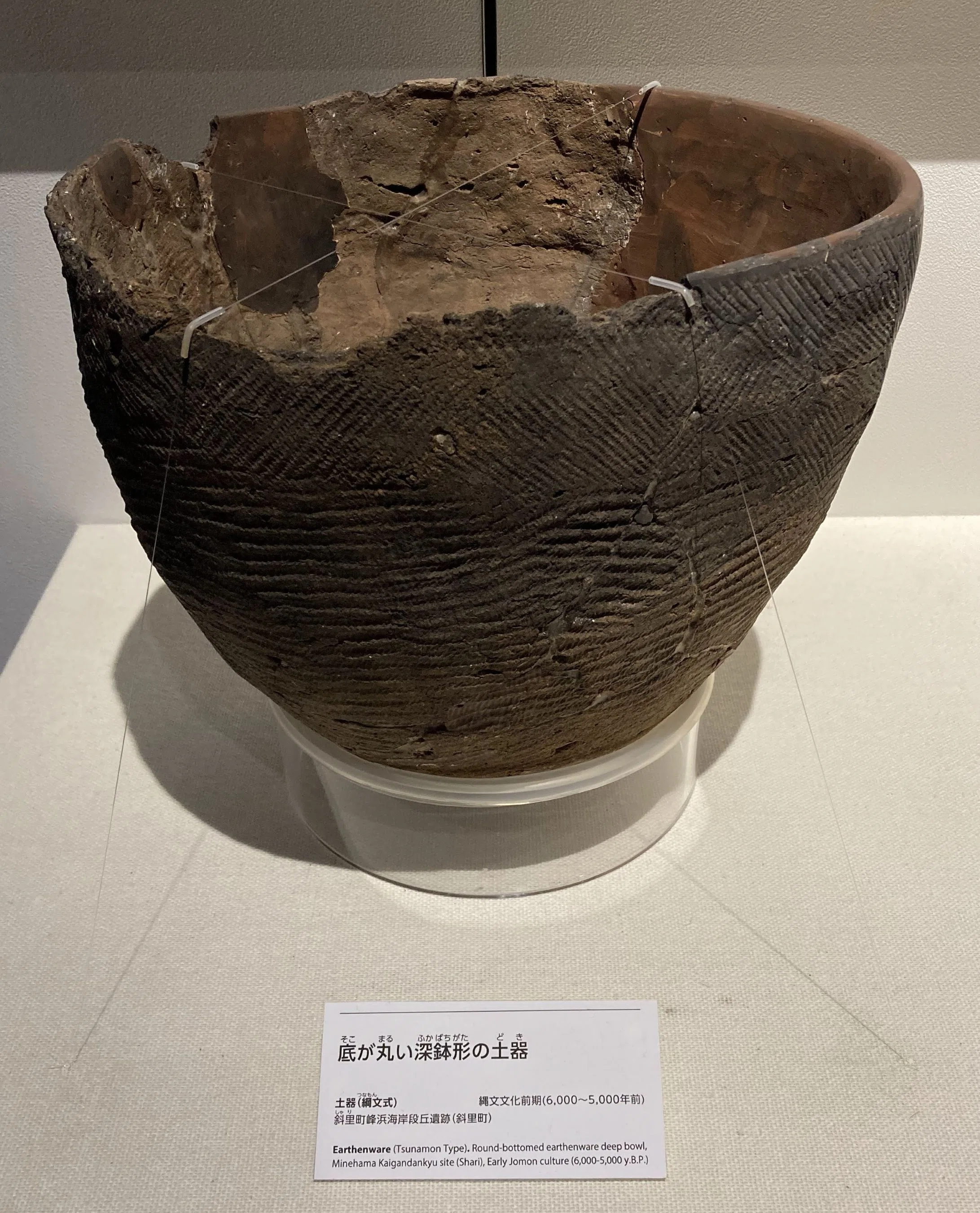 北海道博物館｜スナフキンの友達