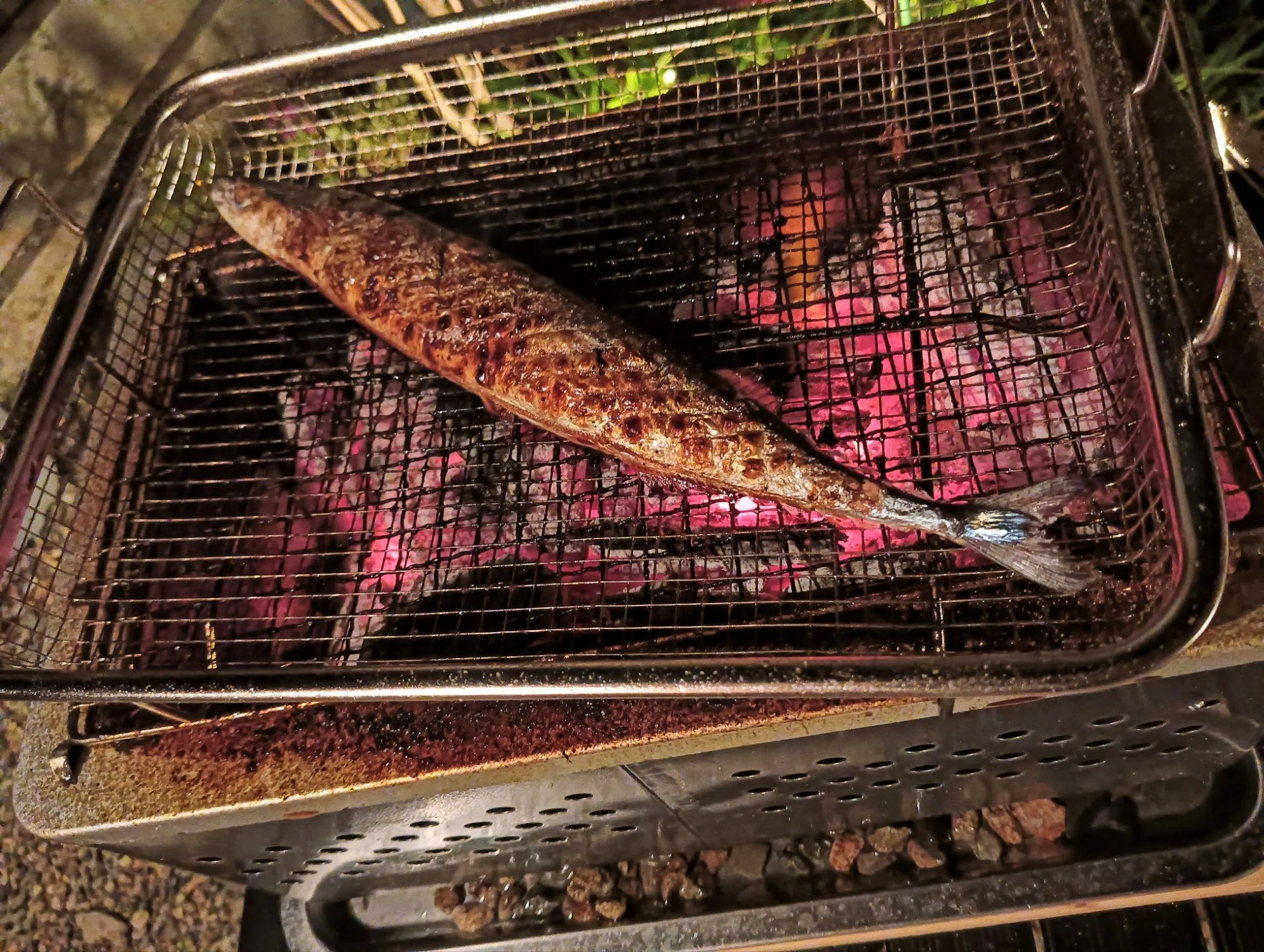魚焼きグリル、いらなかった。3年住んで出した我が家の結論｜メイの 