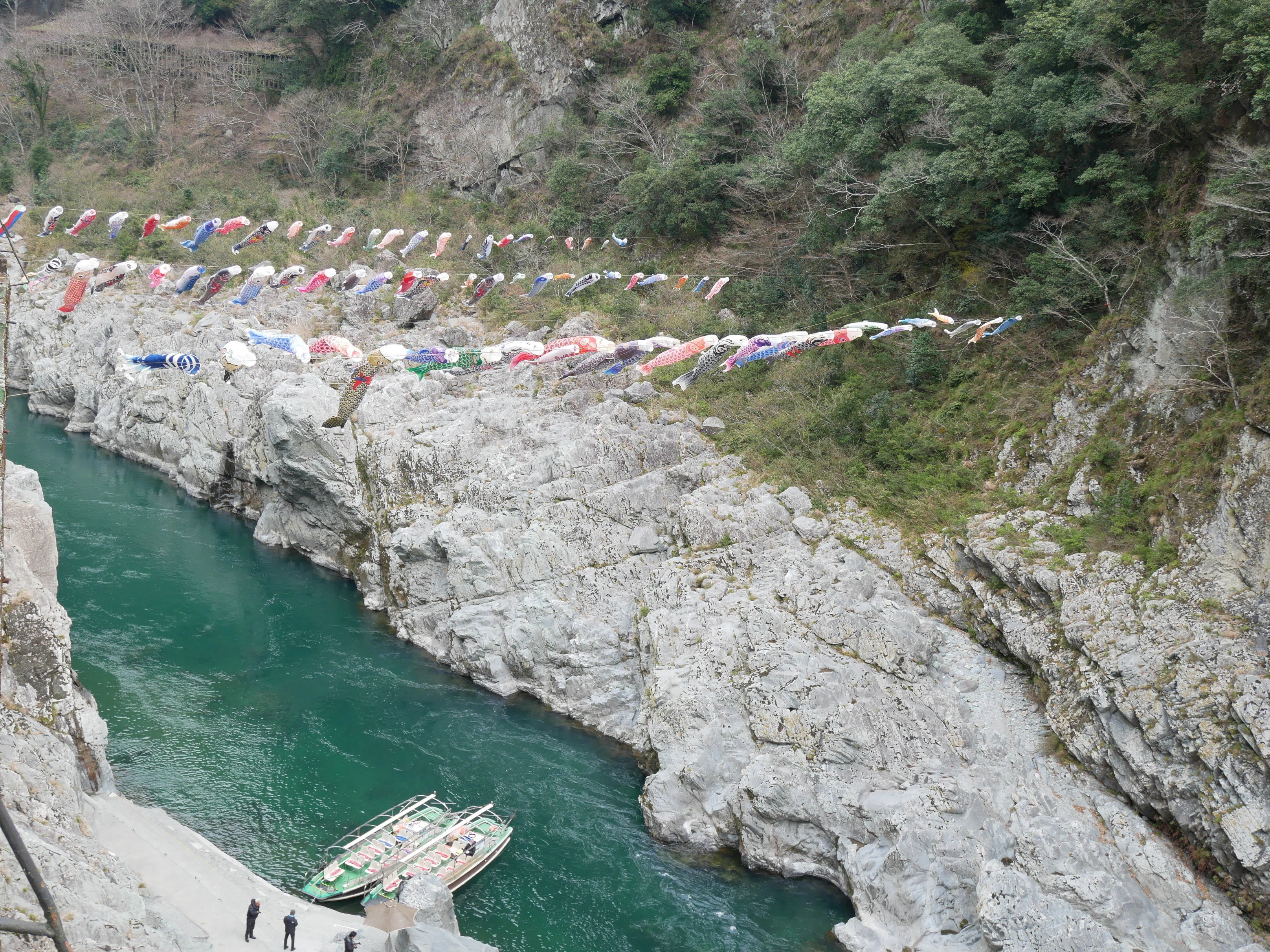684 阿波の秘境・大歩危峡と祖谷のかずら橋ドライブ｜ミヤコカエデ