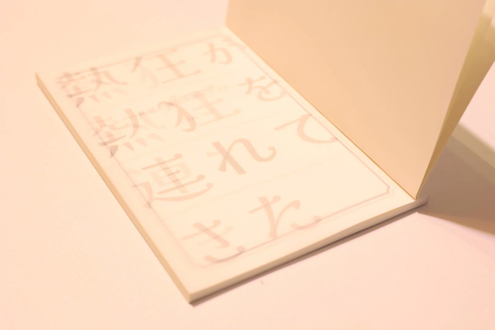 熱狂を持っていきます｜文フリ東京42 参戦｜みほこ