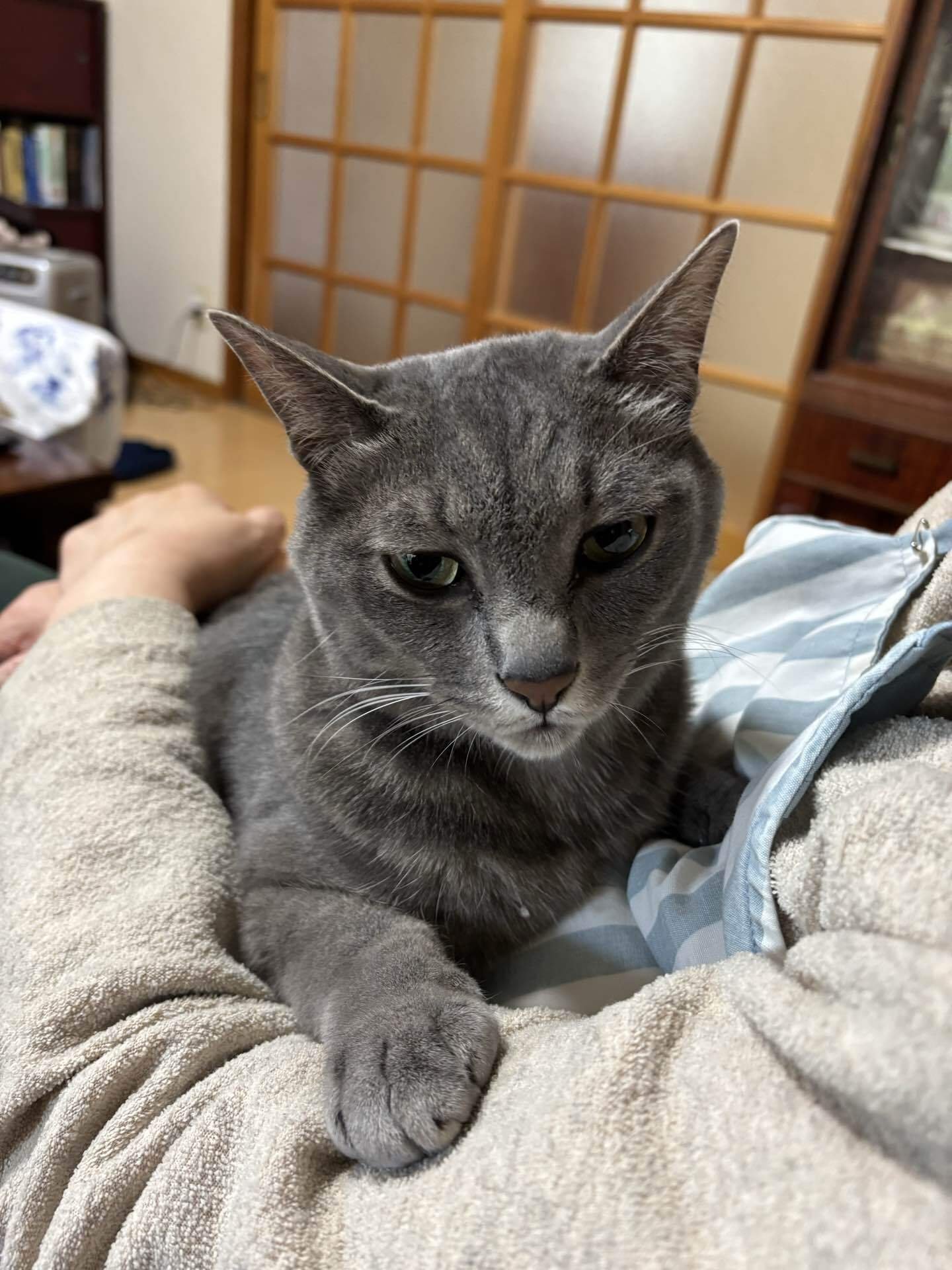 きょうの聡太くんとプレイバックたまちゃん 2026/4/23｜金澤流都