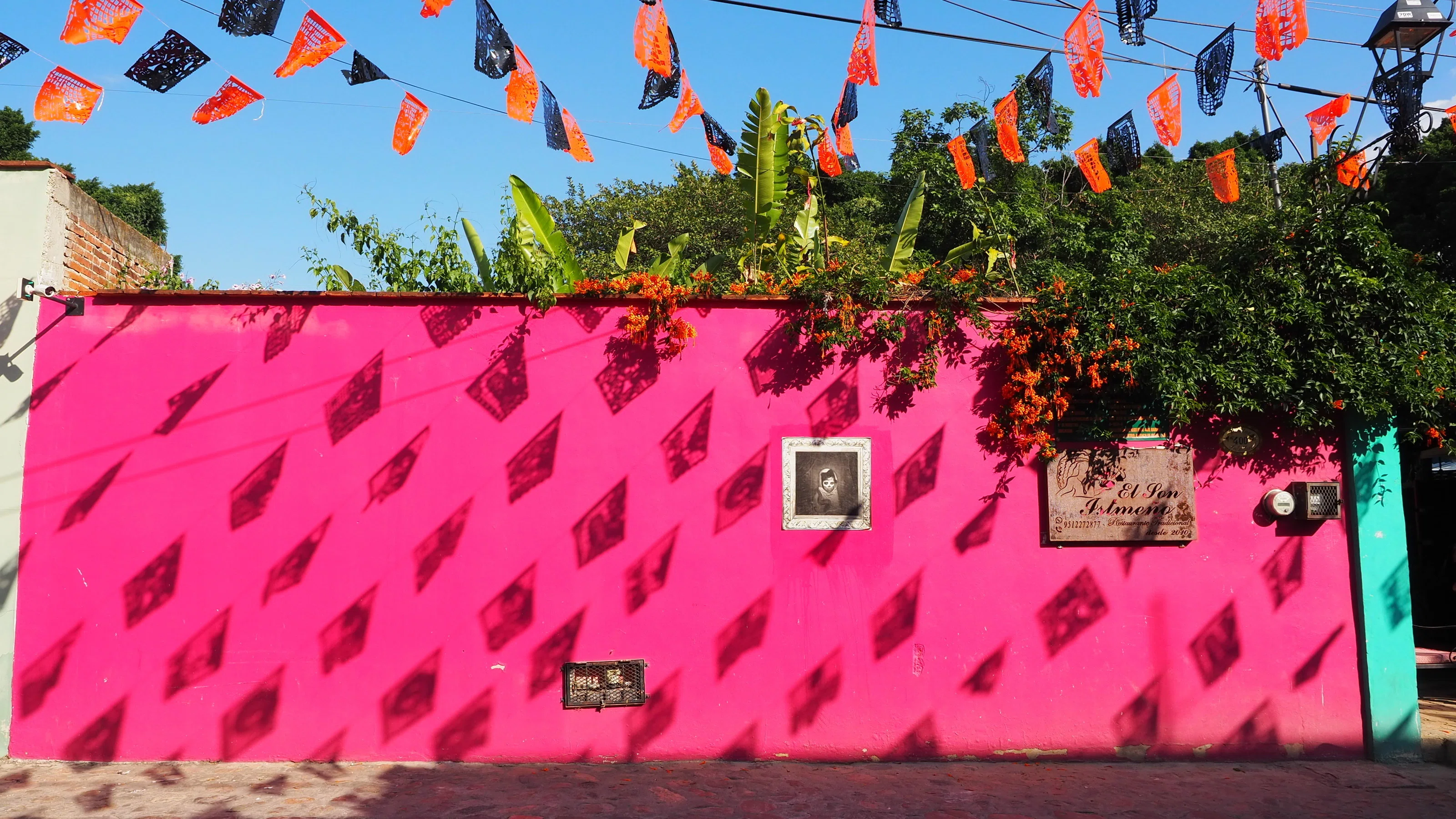 Oaxaca | A City Where You Can Find Color When You Look Up | Photo