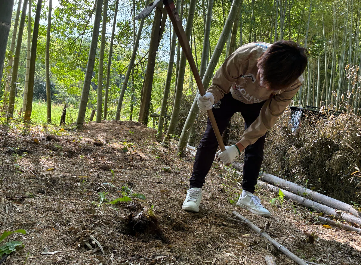 4/20 [Fan Community Member Blue Day Event] Bamboo Shoot Digging and ...